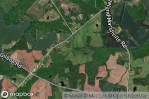 Maple Springs Branch