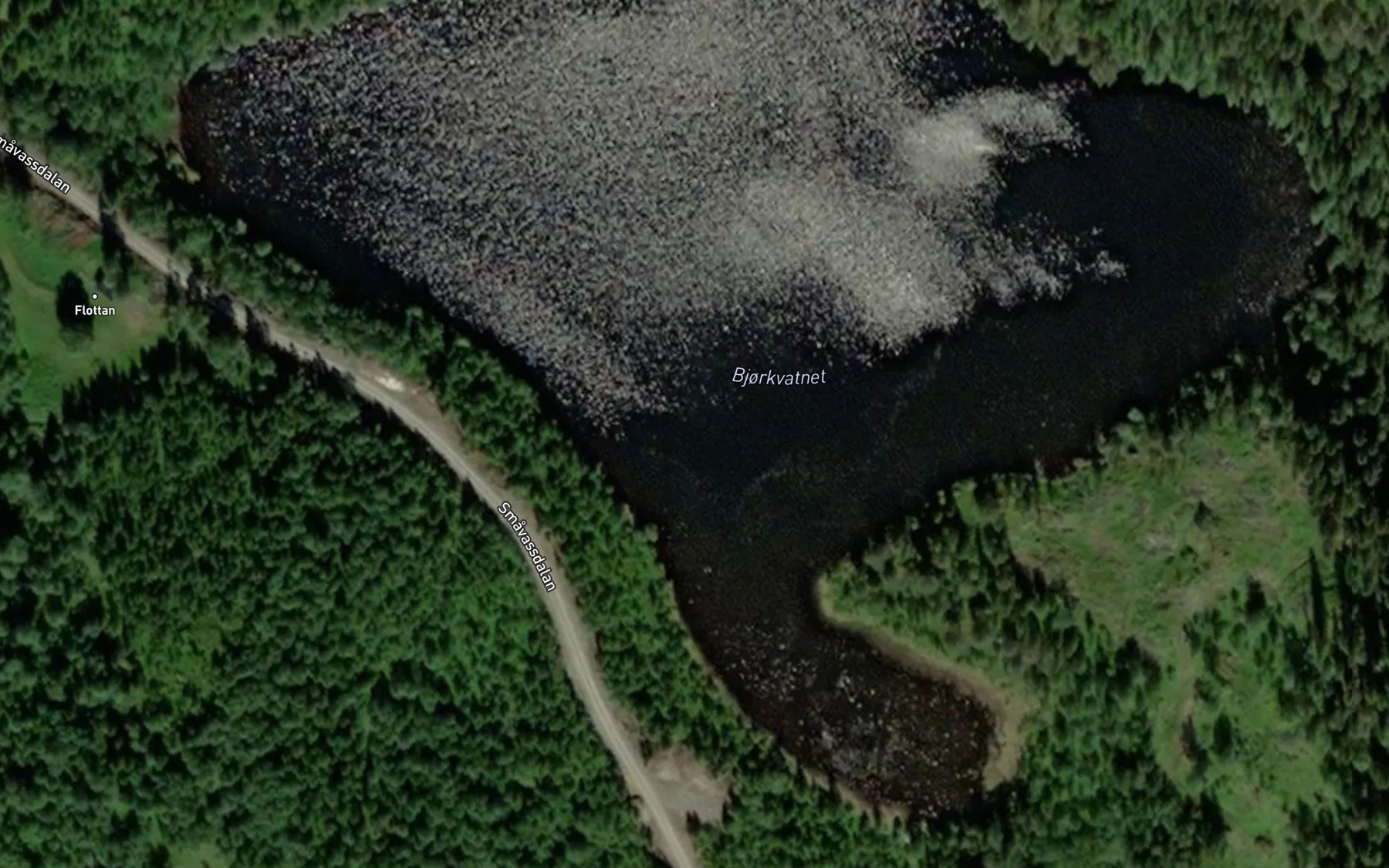 Satellite map of the Bjorkvatnet