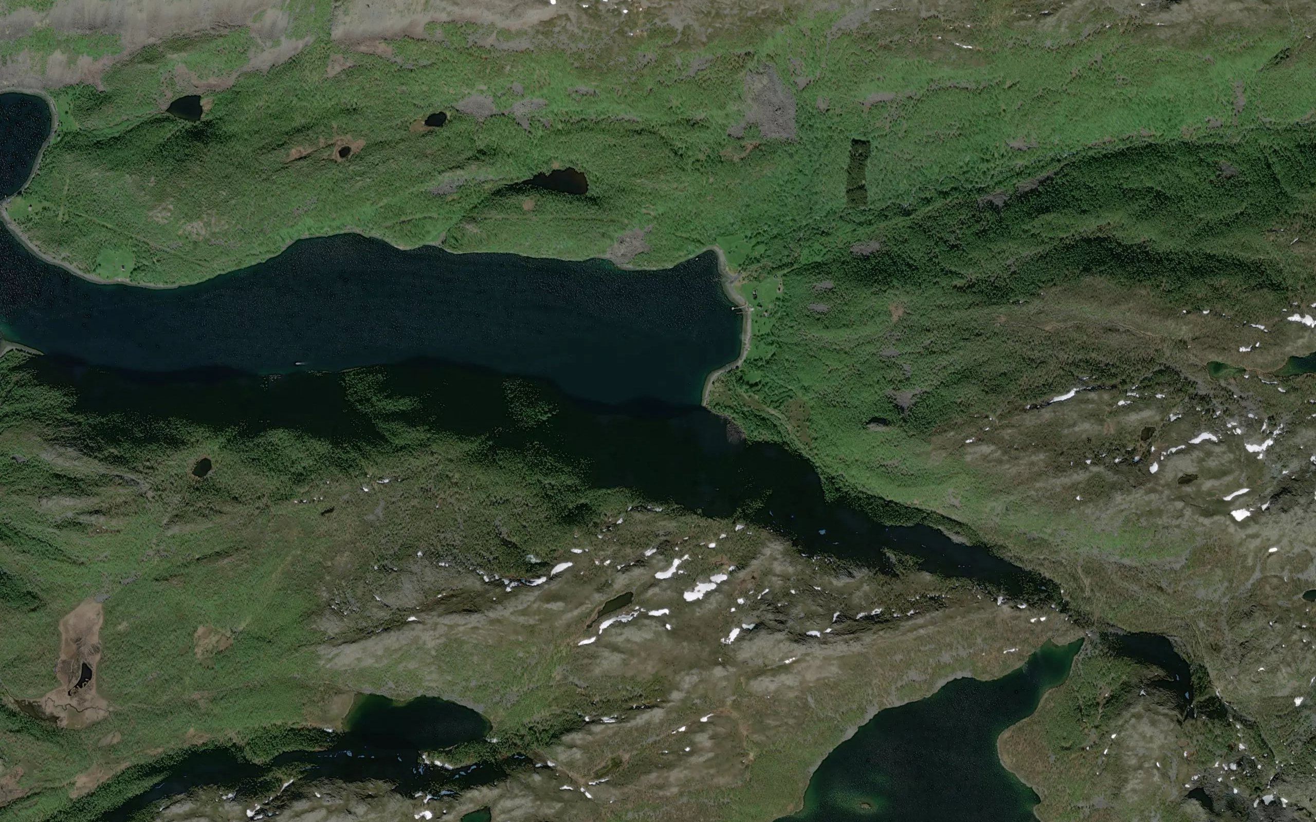 Kokelvbukt