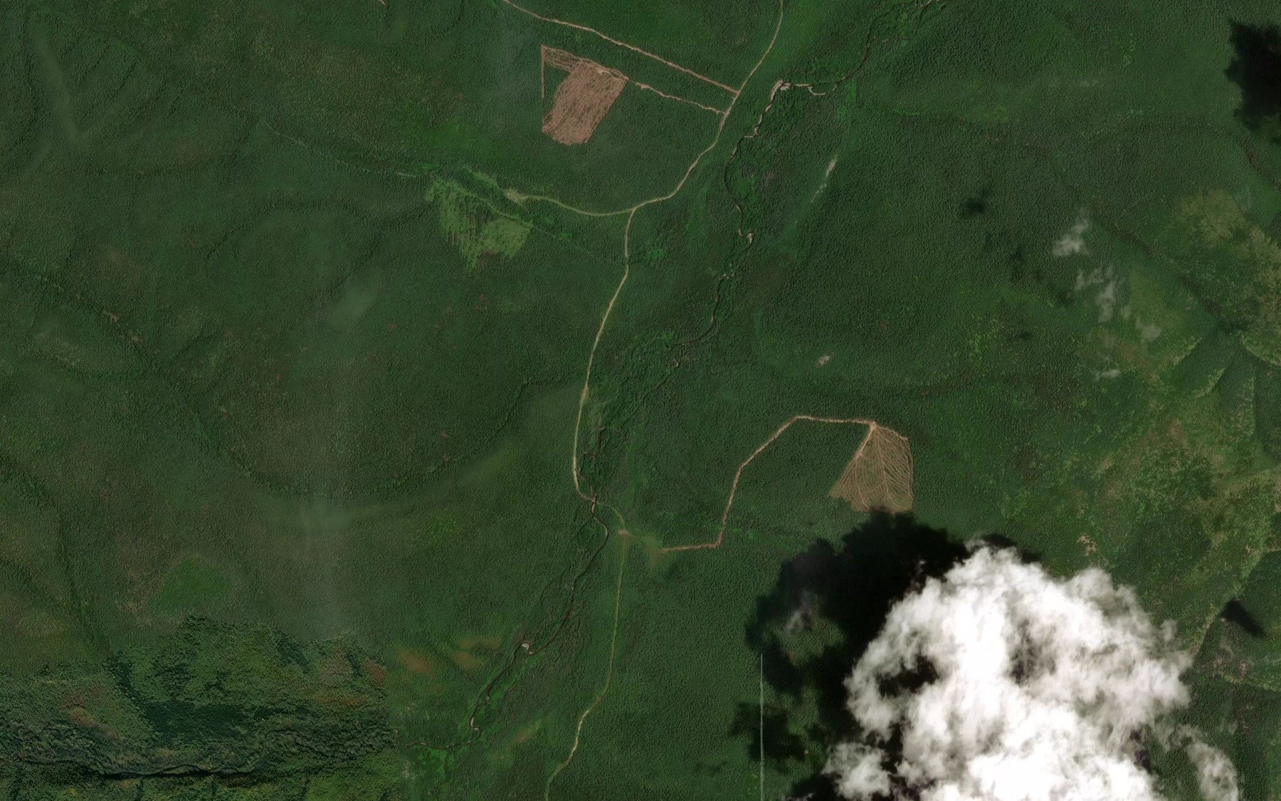 Satellite map of the Trudnyy
