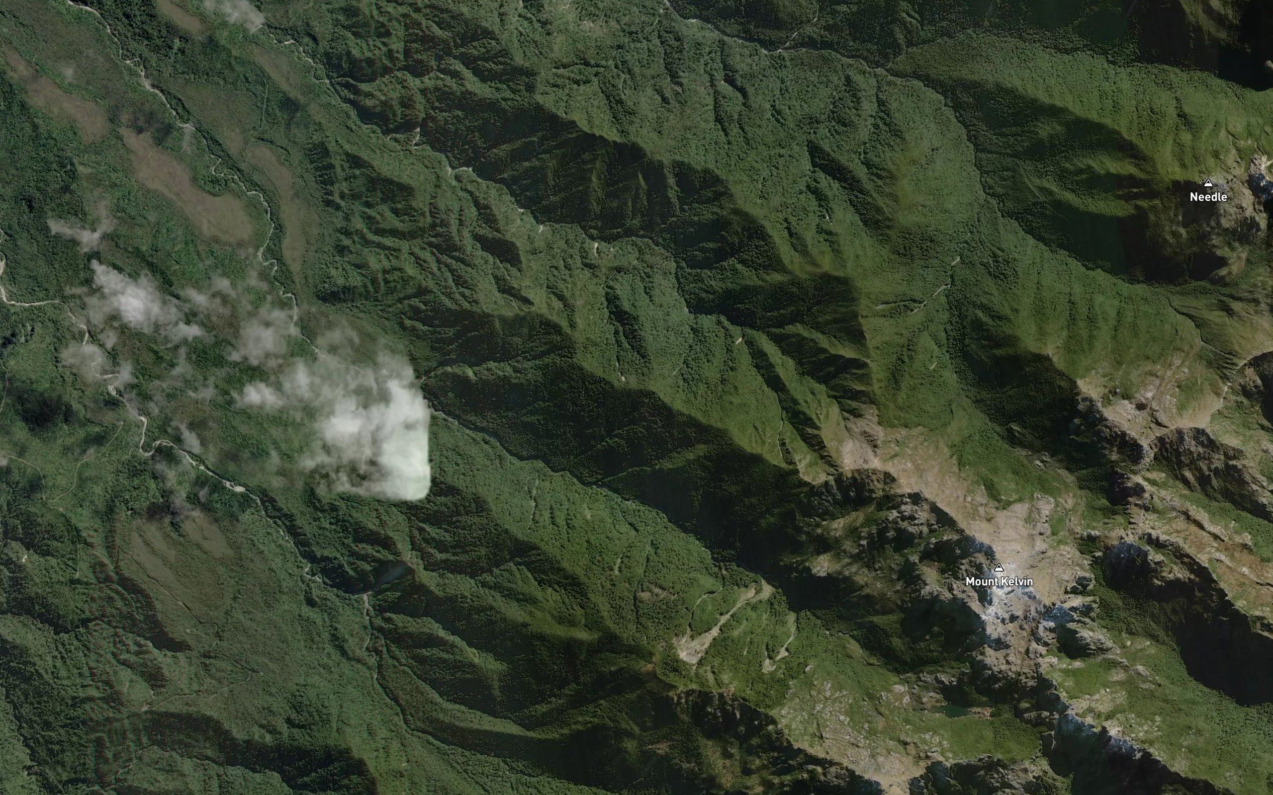 Tailings Creek