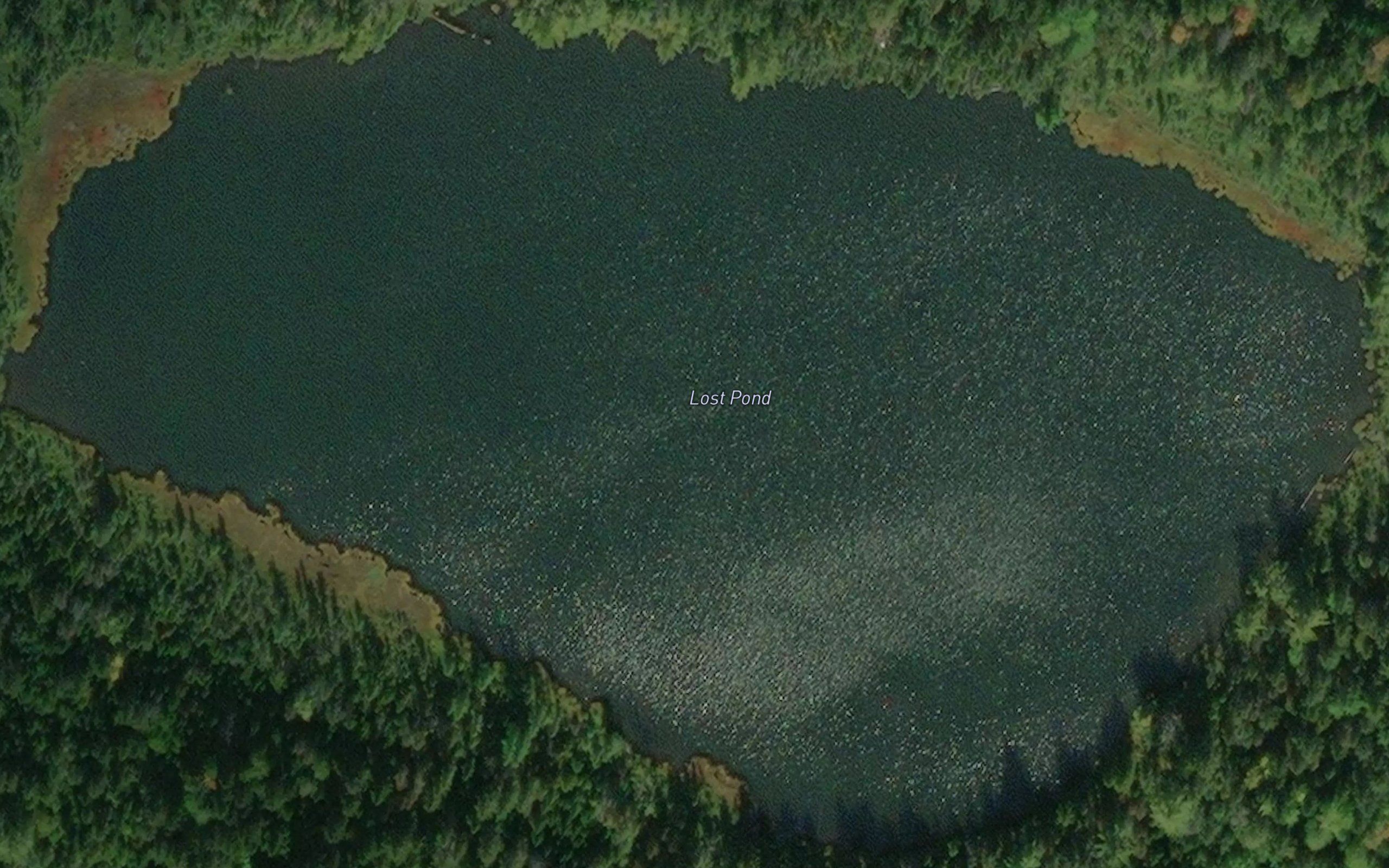 Lost Pond
