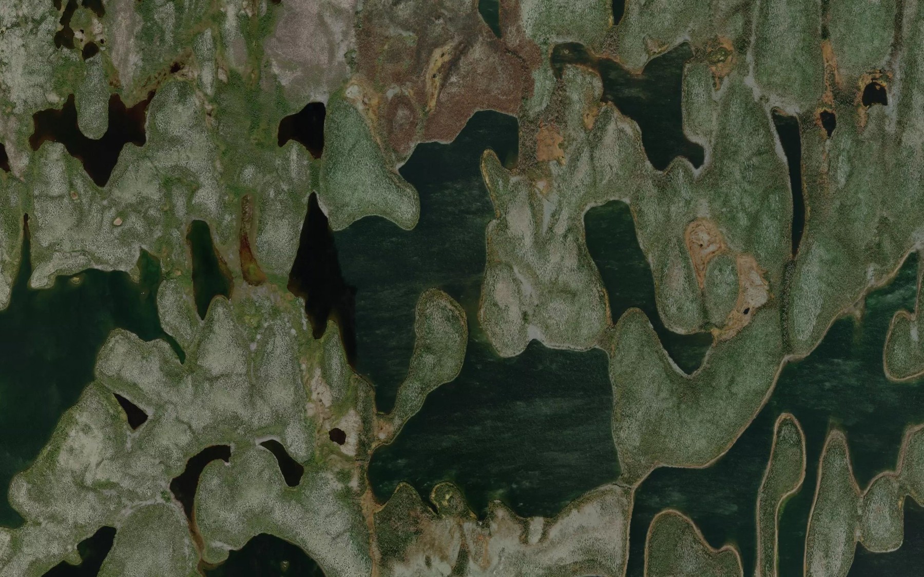 Satellite map of the Poho Lake
