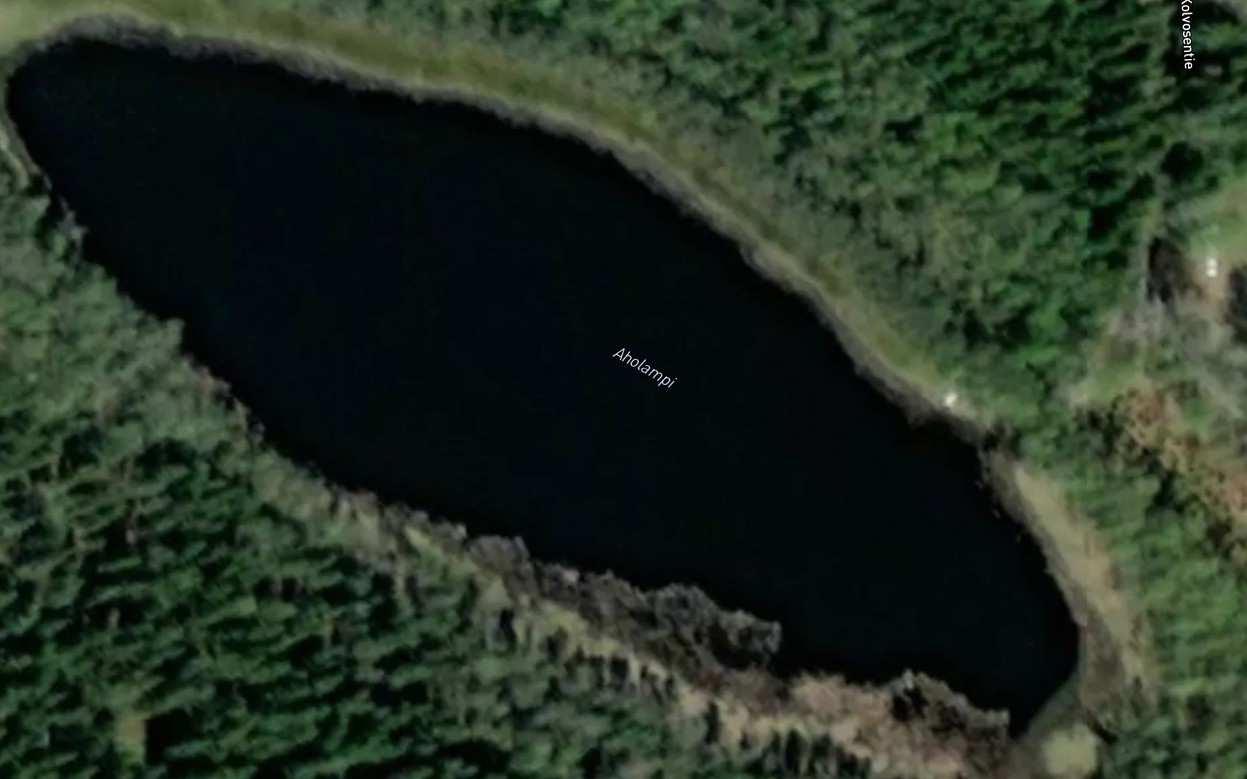 Satellite map of the Aholampi