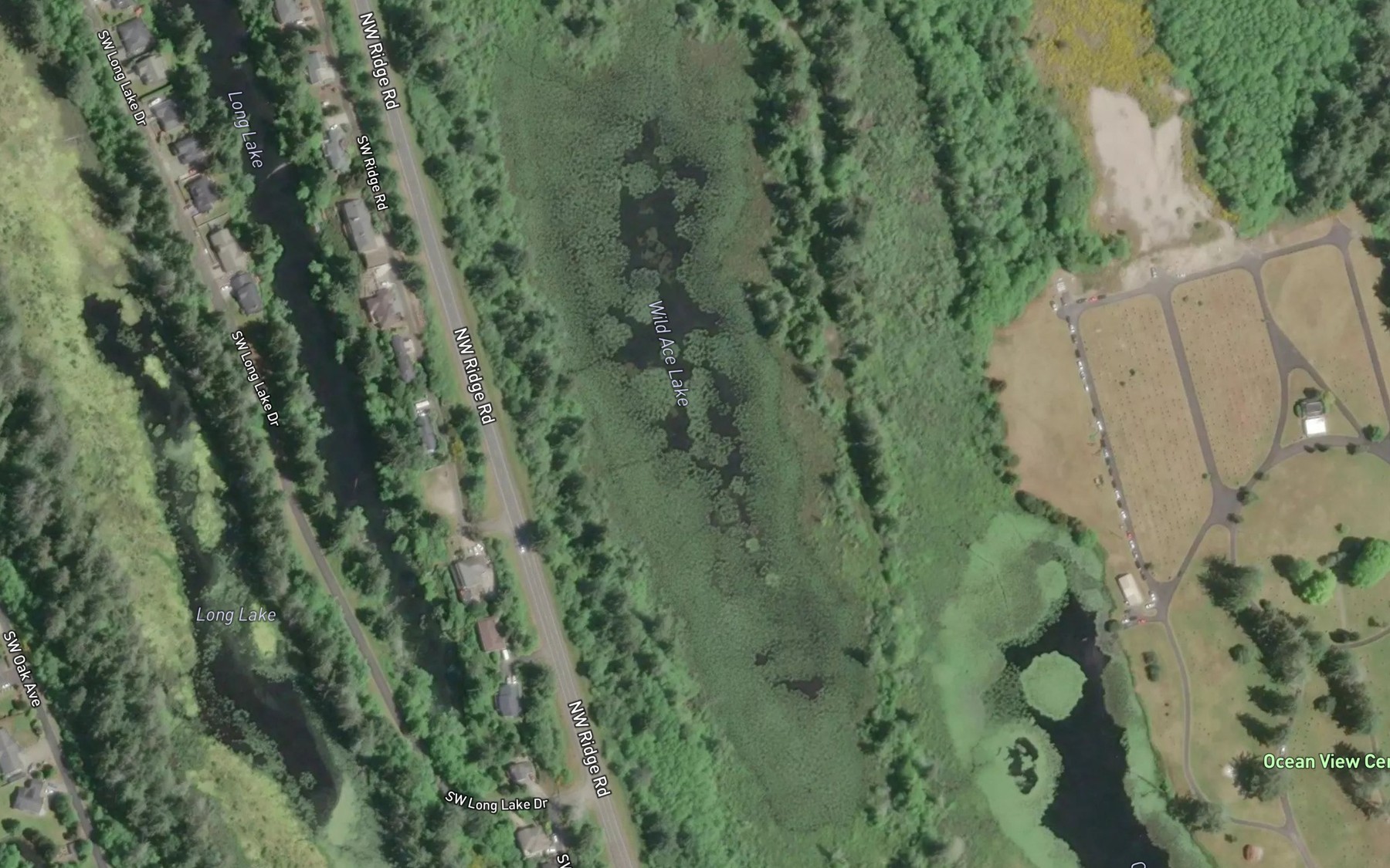 Satellite map of the Wild Ace Lake