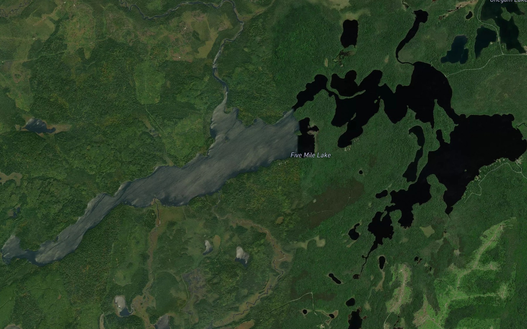 Satellite map of the Five Mile Lake