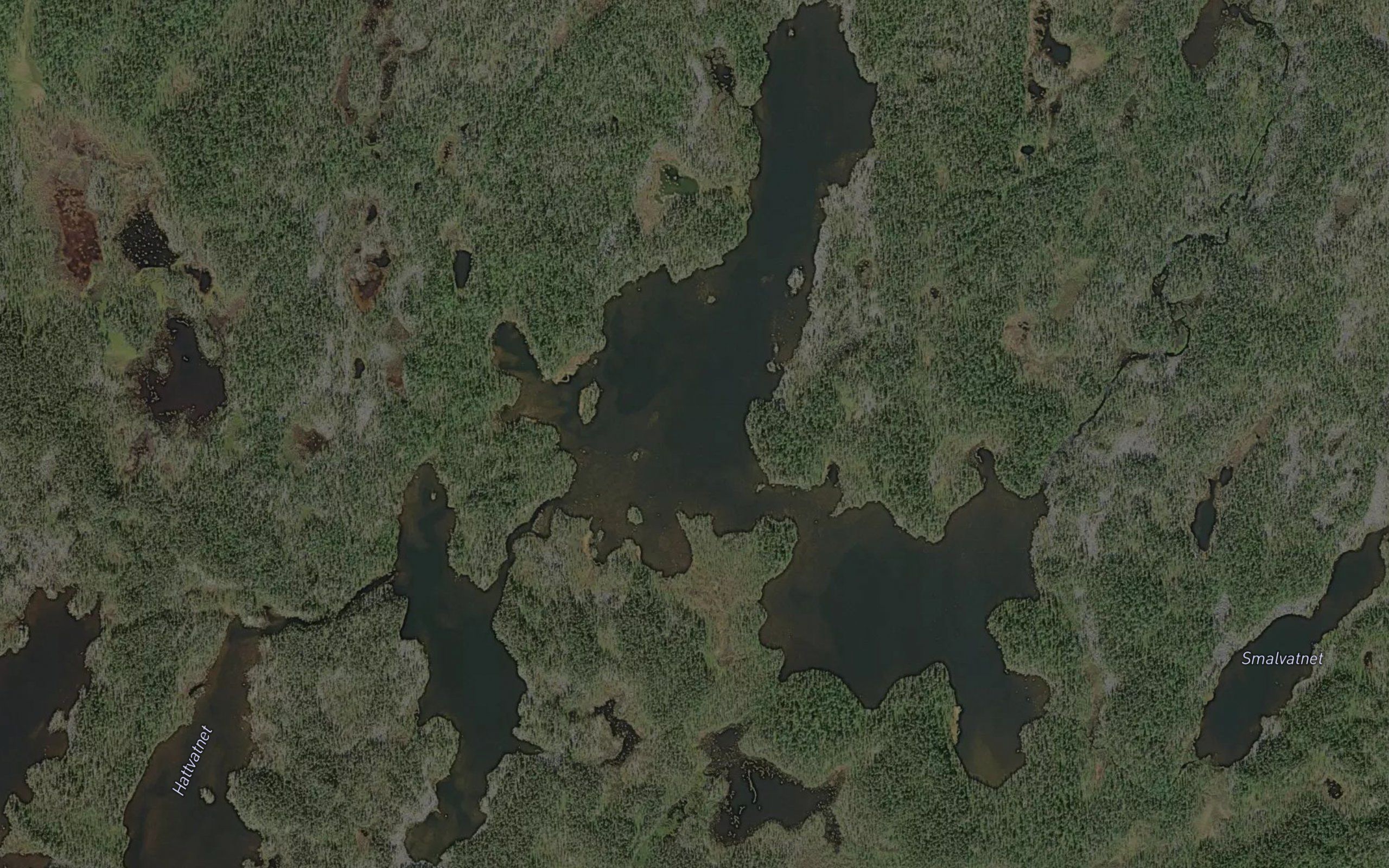 Korsvatnet