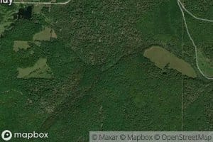 North Fork Little Barren Creek