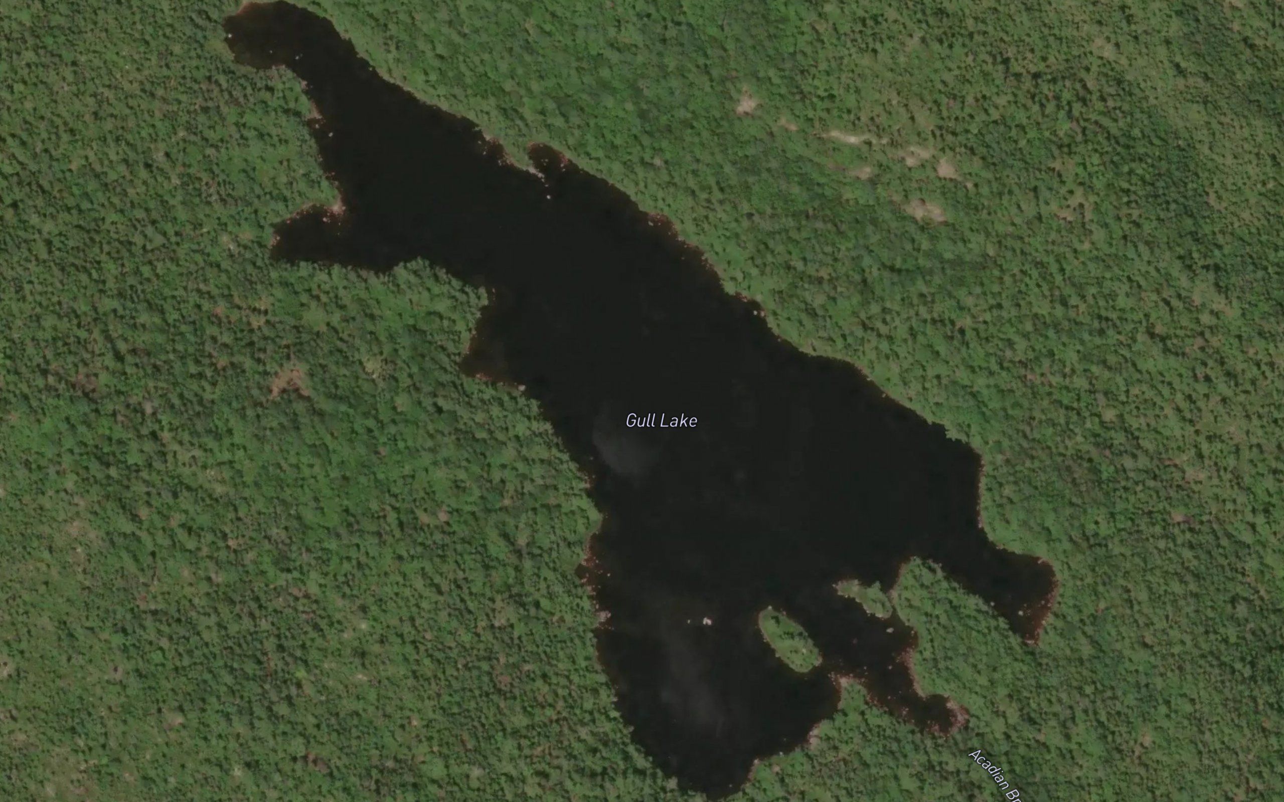 Gull Lake