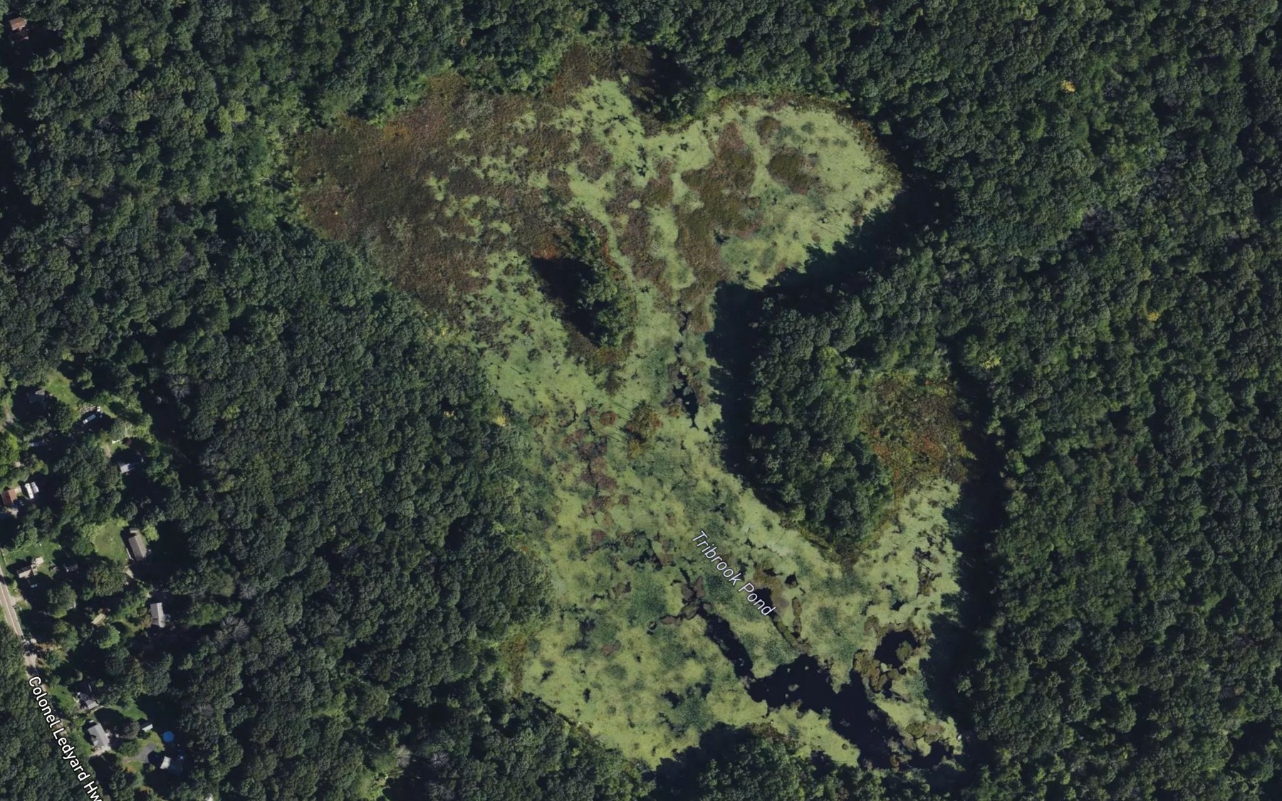 Satellite map of the Tribrook Pond