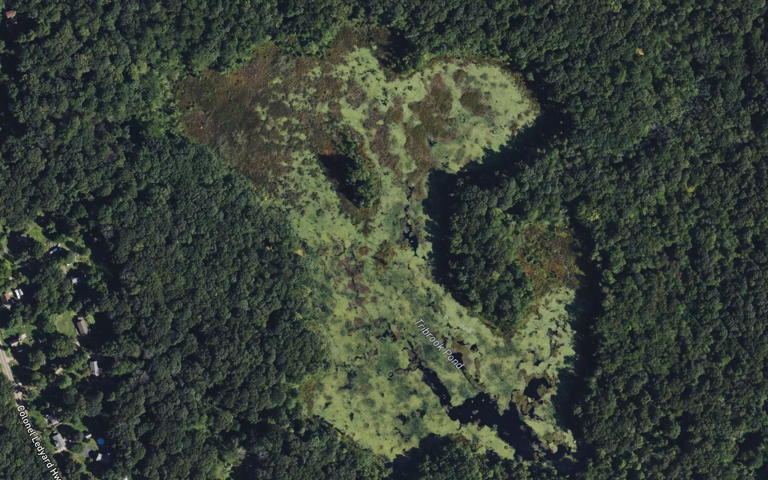 Tribrook Pond