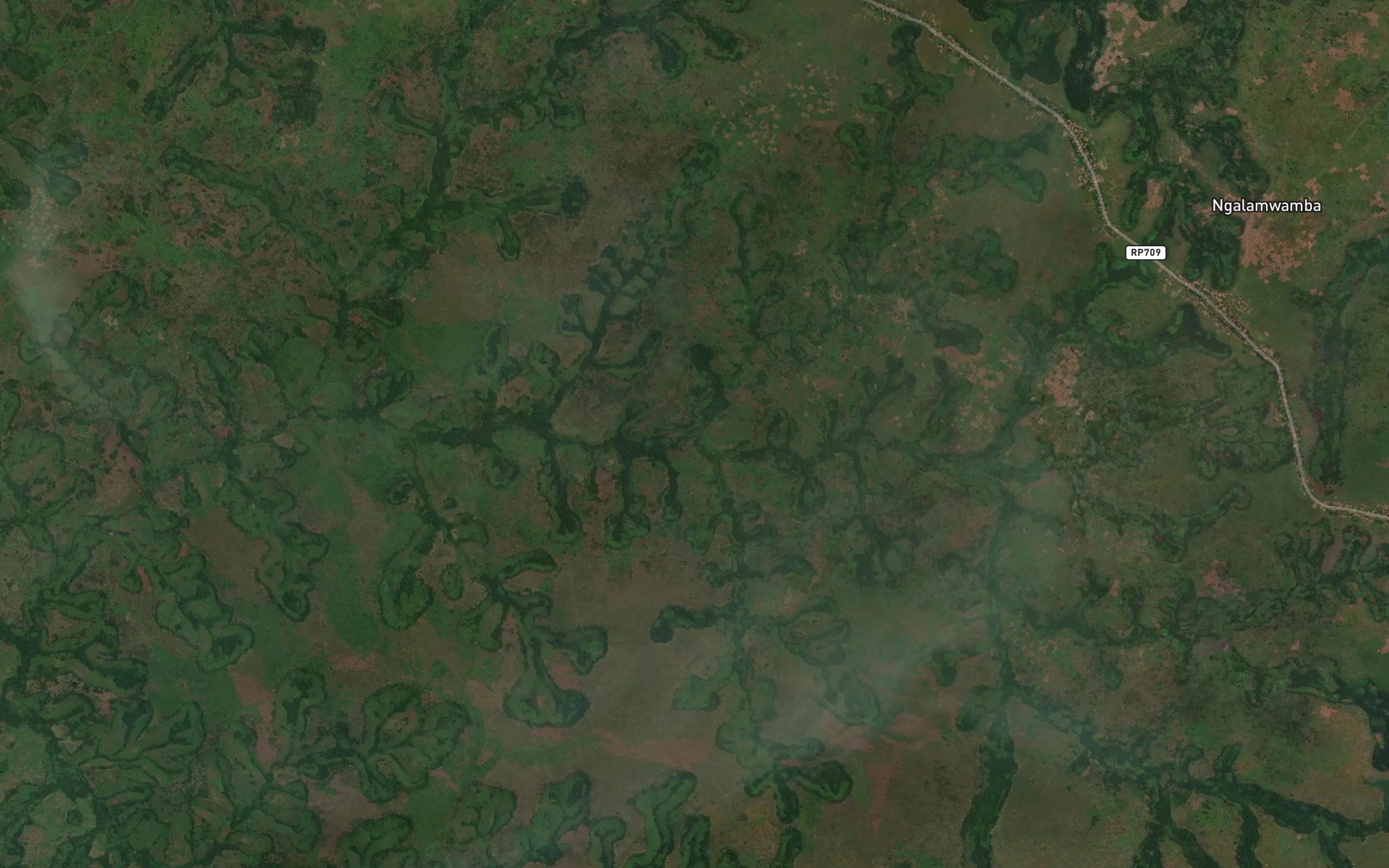 Tshikuna