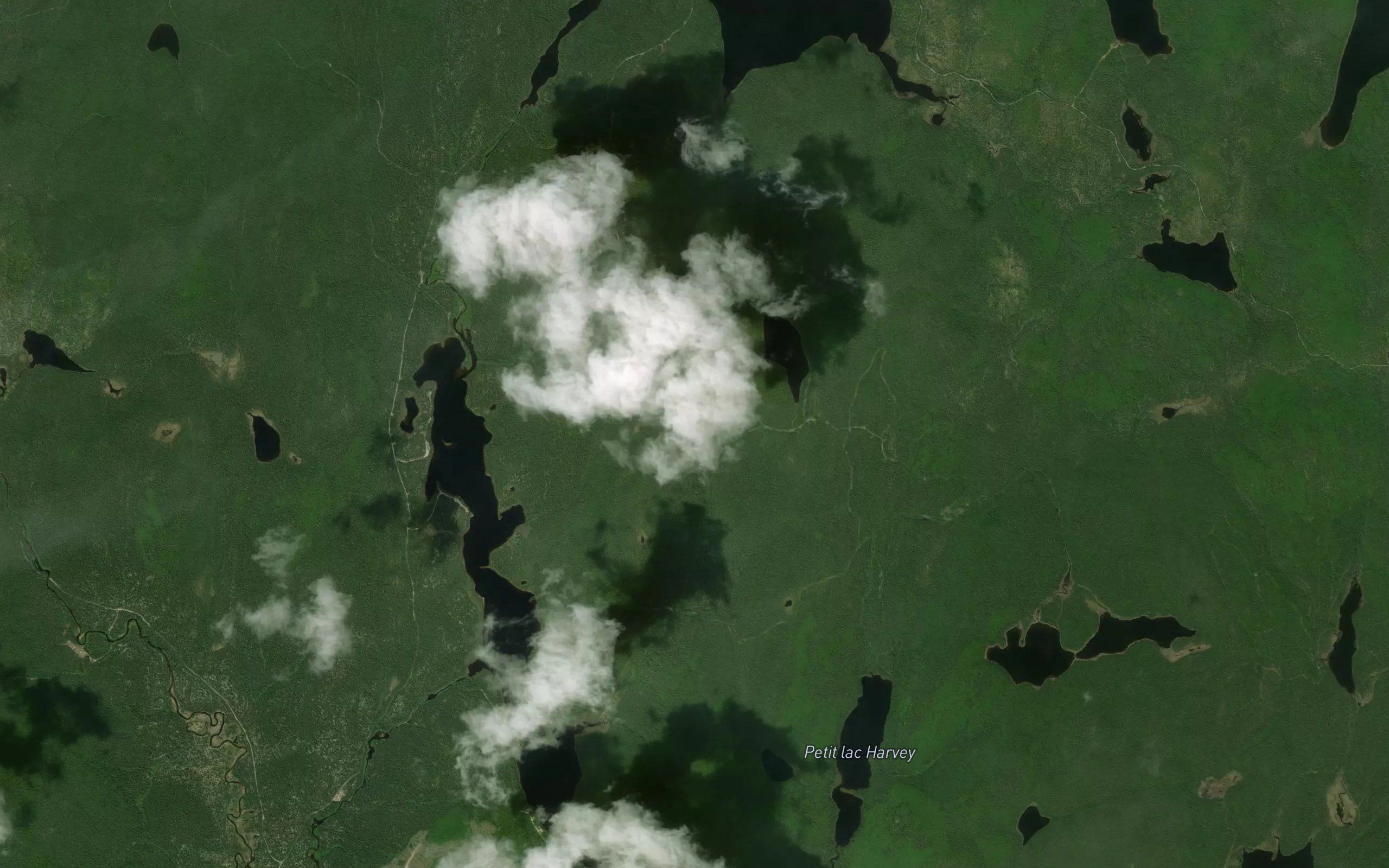 Lac Paulin