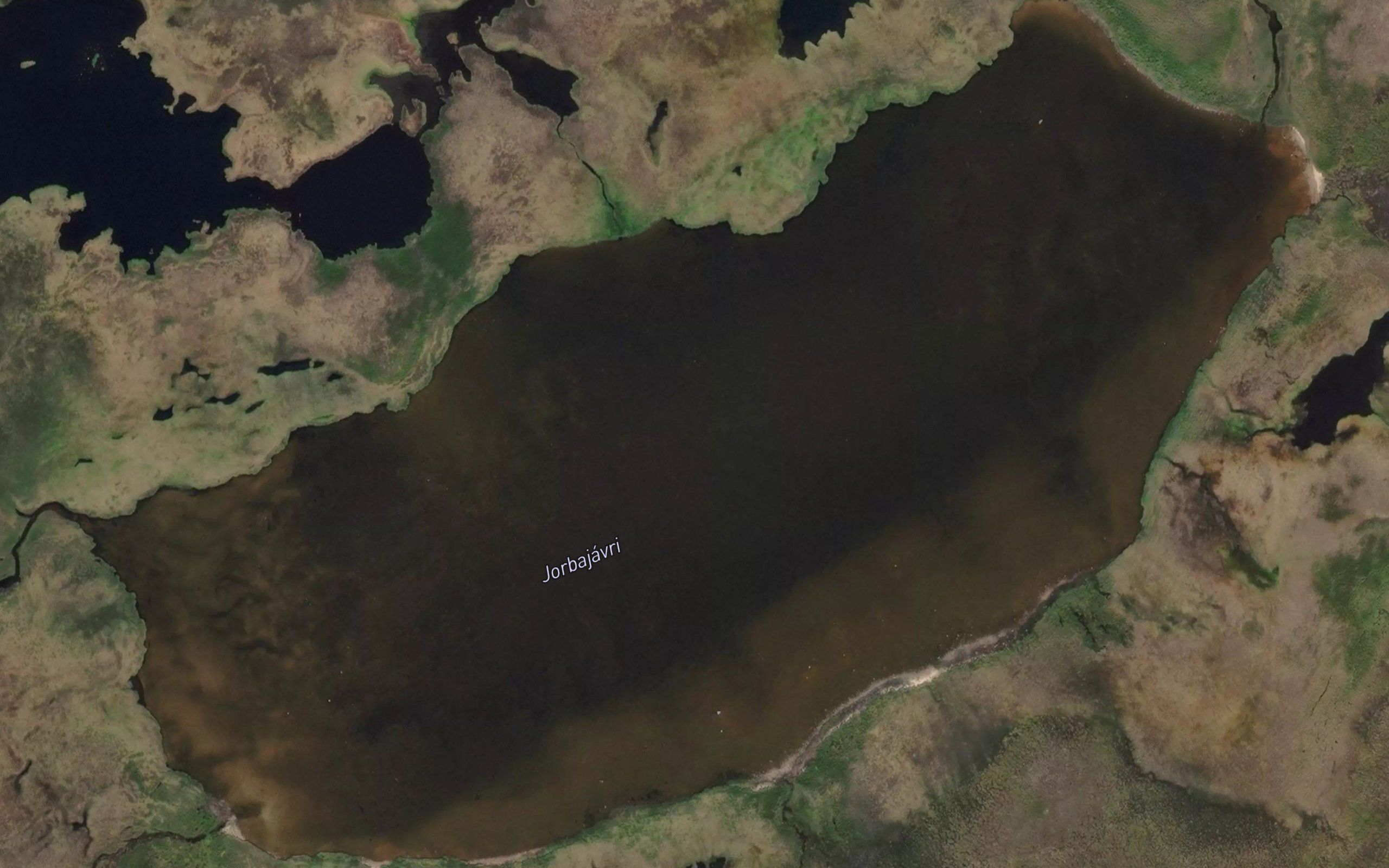 Jarbajavri
