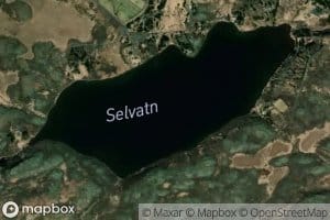 Selvatn