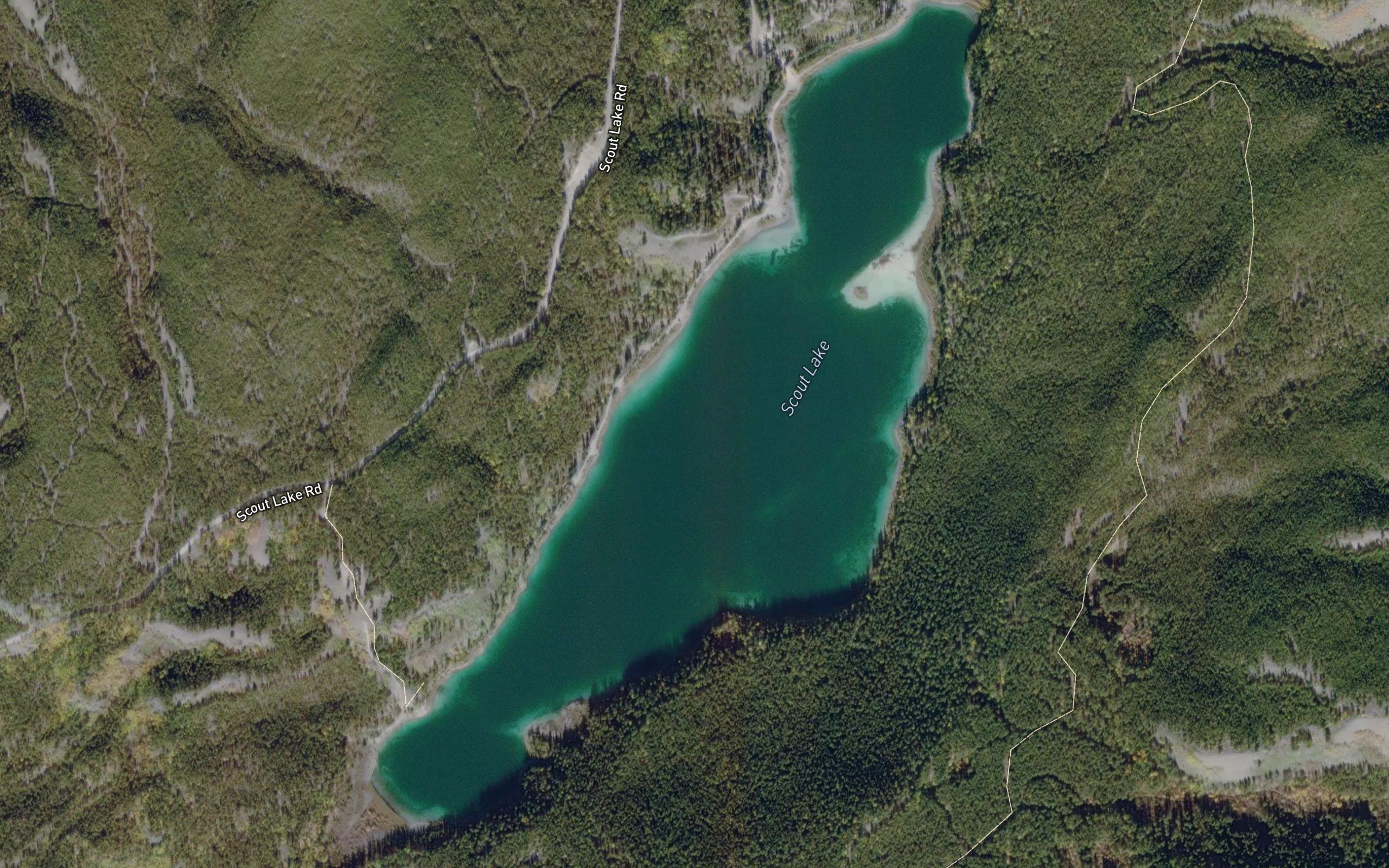 Scout Lake