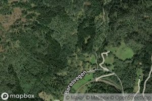 Sygnabersgrovi