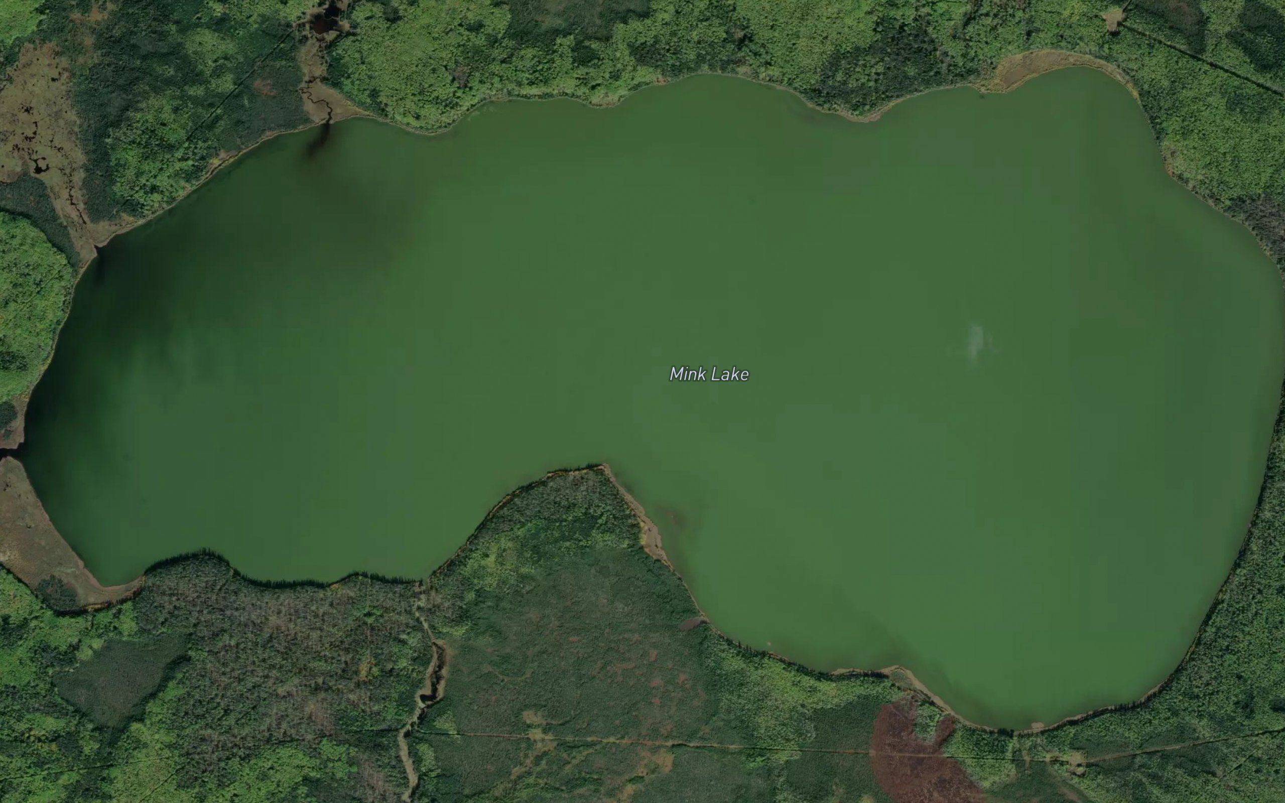 Mink Lake