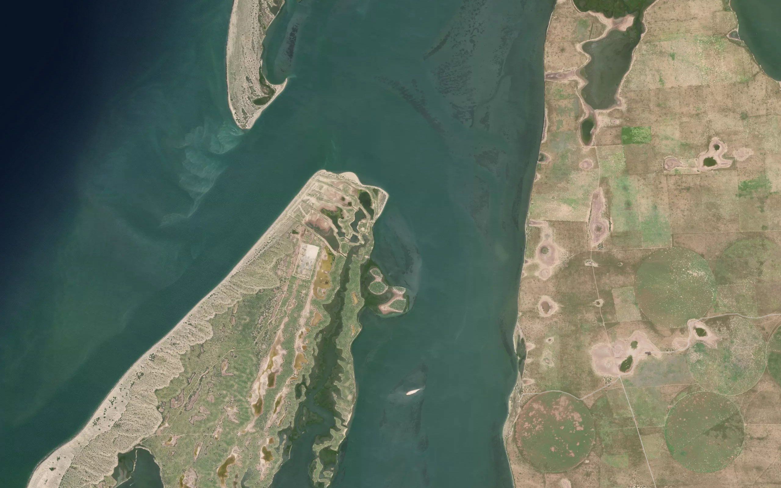 Ensenada el Mezquite