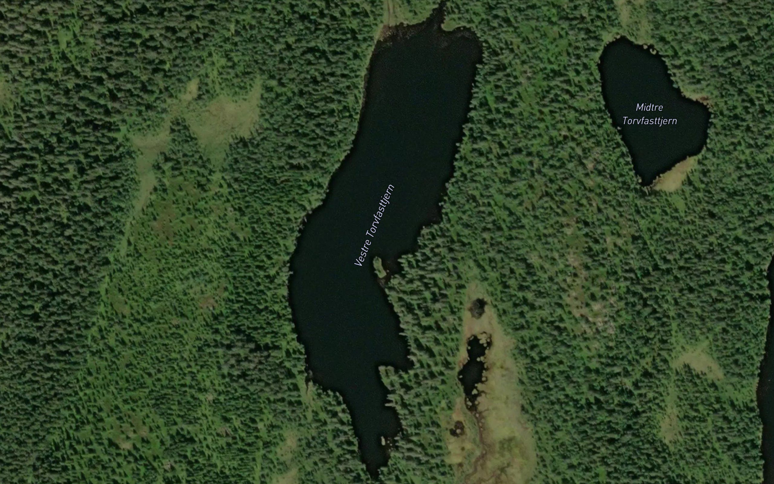 Vestre Torvfasttjern