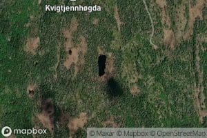 Kvigetjern