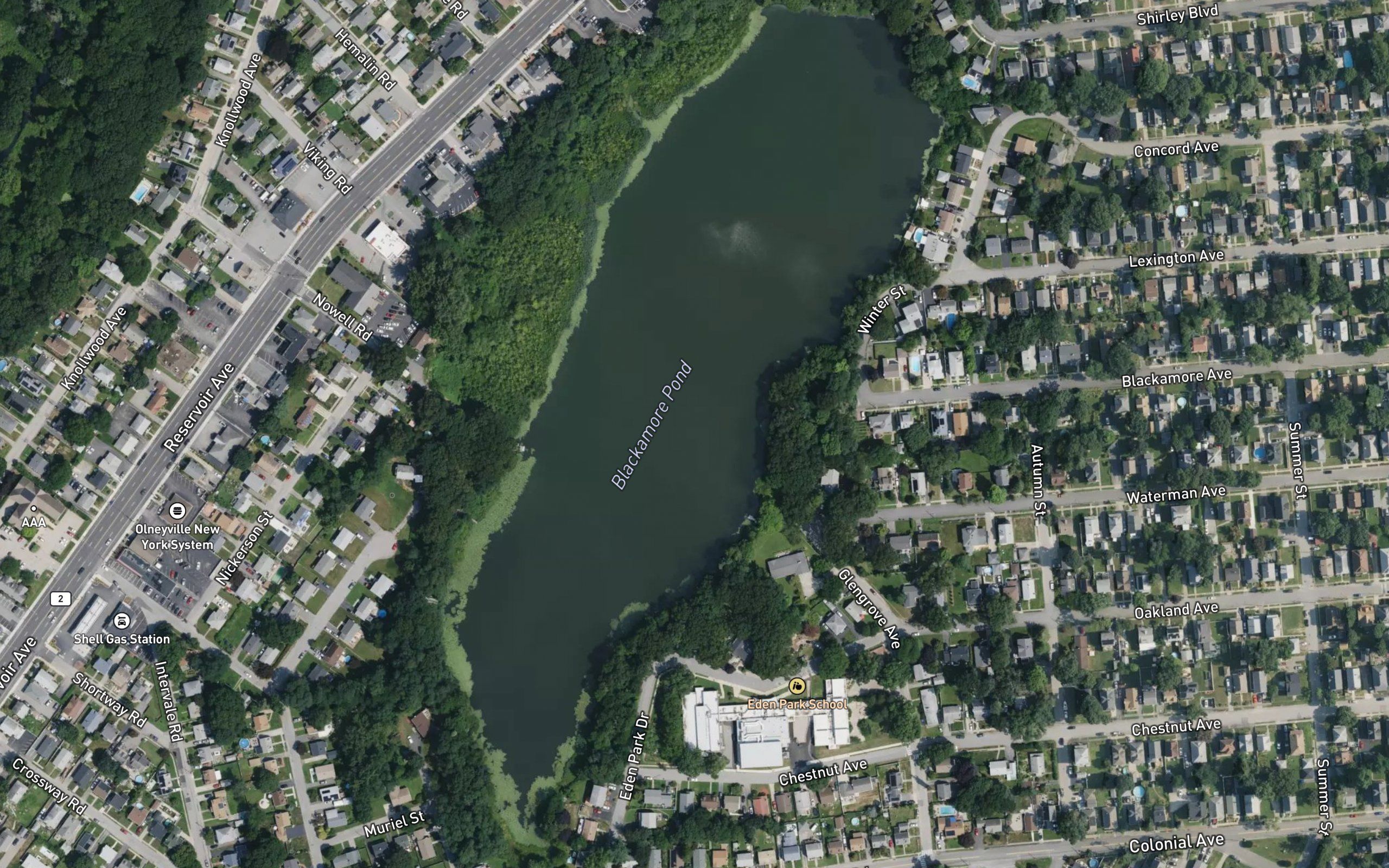 Blackamore Pond