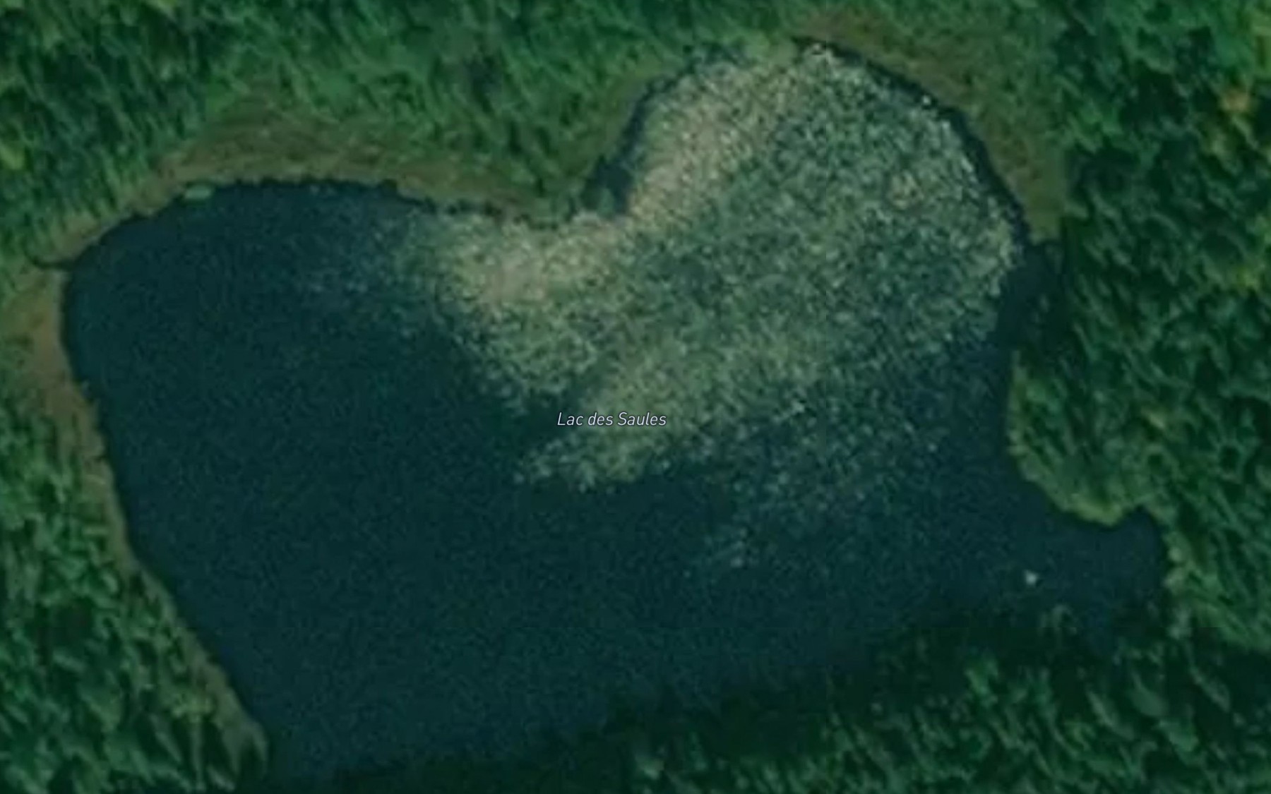 Satellite map of the Lac des Saules