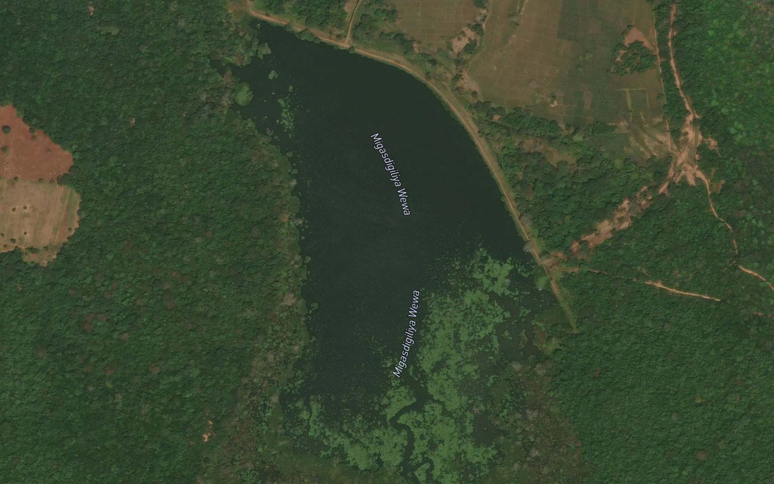 Migasdigiliya Wewa