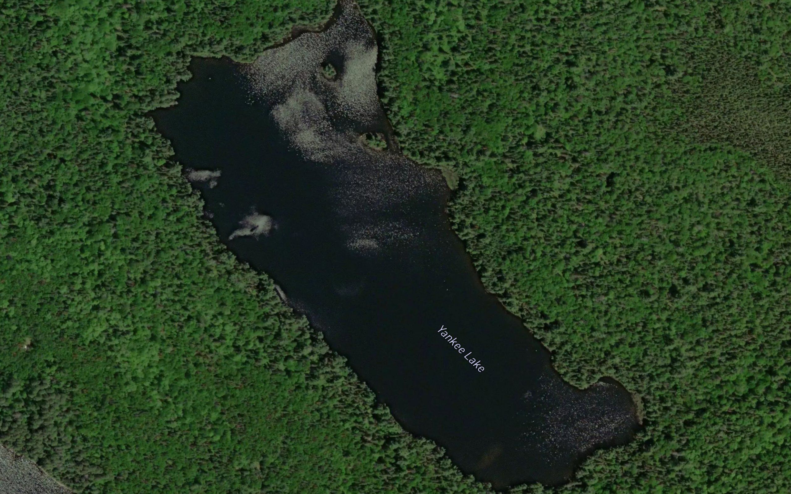 Yankee Lake