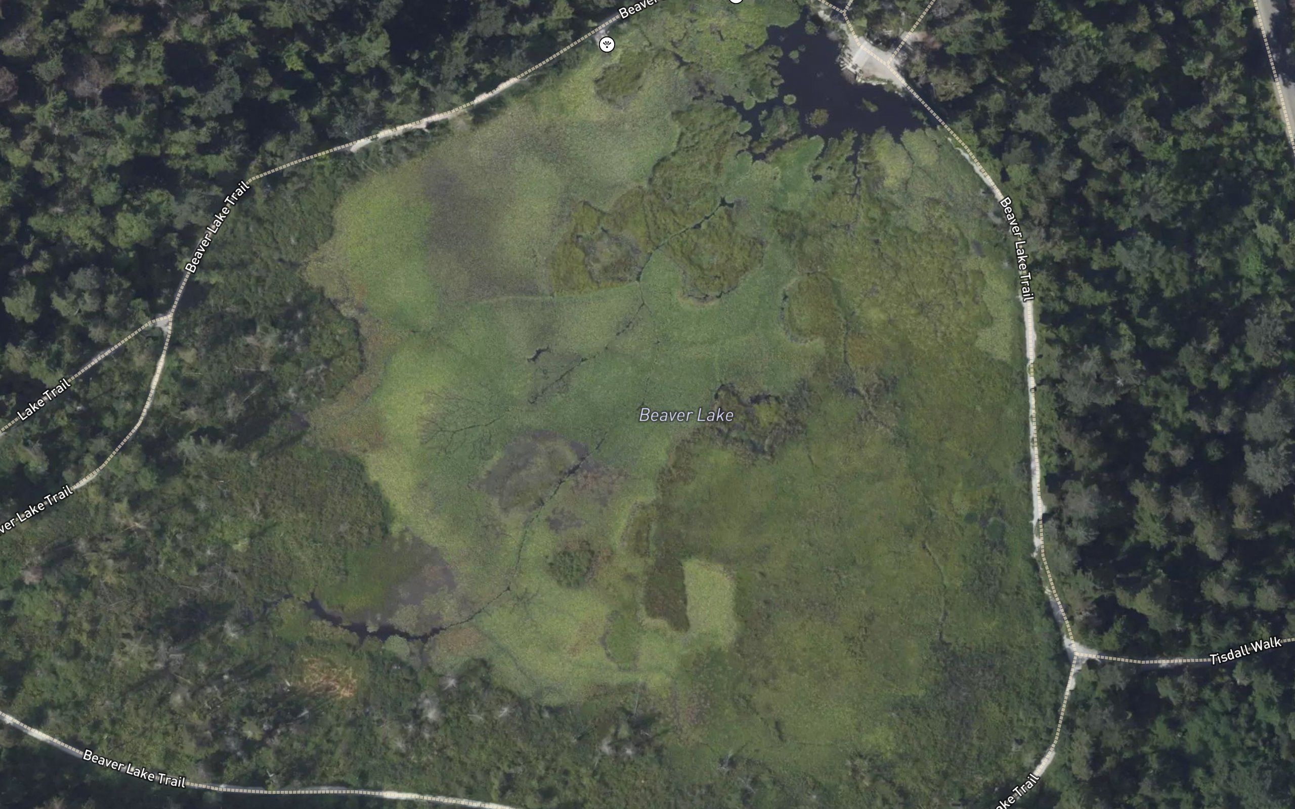 Beaver Lake