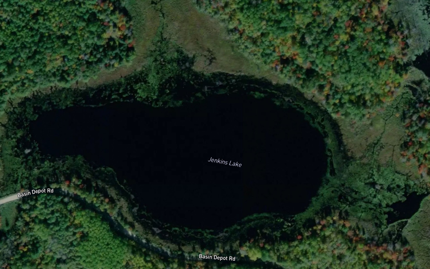 Satellite map of the Jenkins Lake