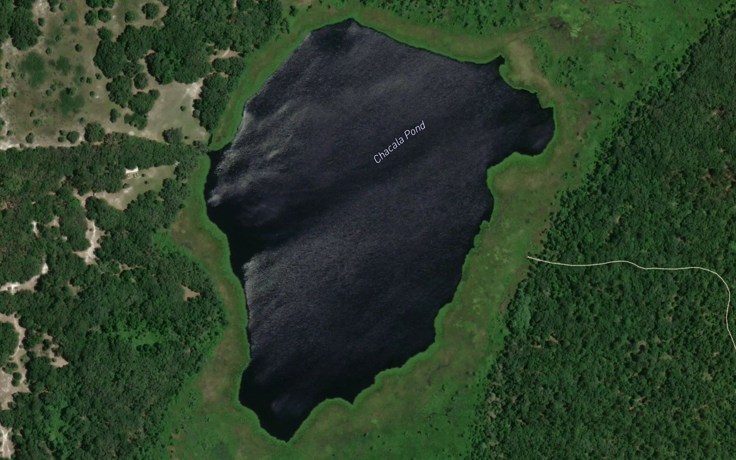 Chacala Pond