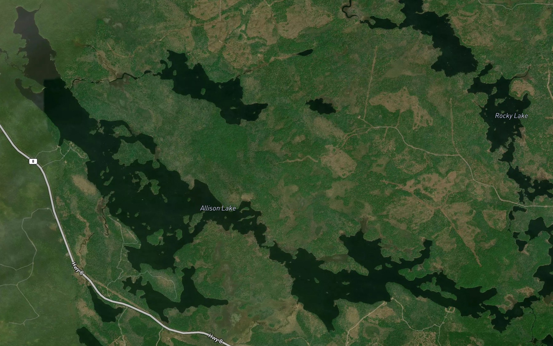 Satellite map of the Elder Brook