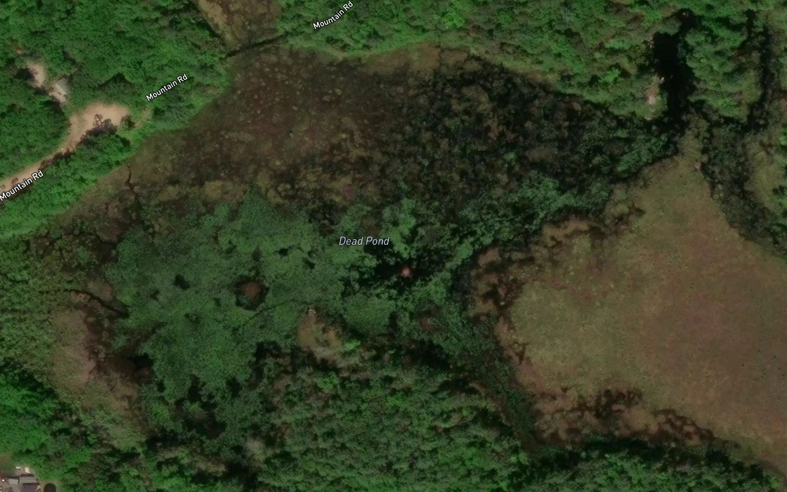 Dead Pond