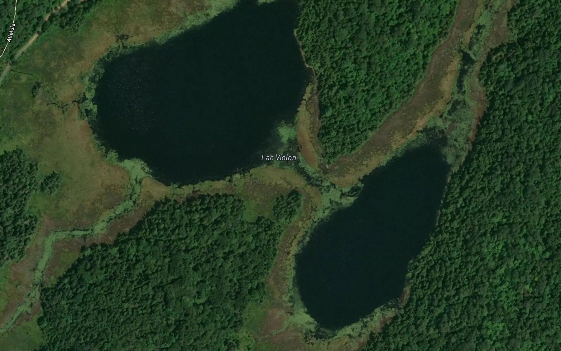 Satellite map of the Lac Violon