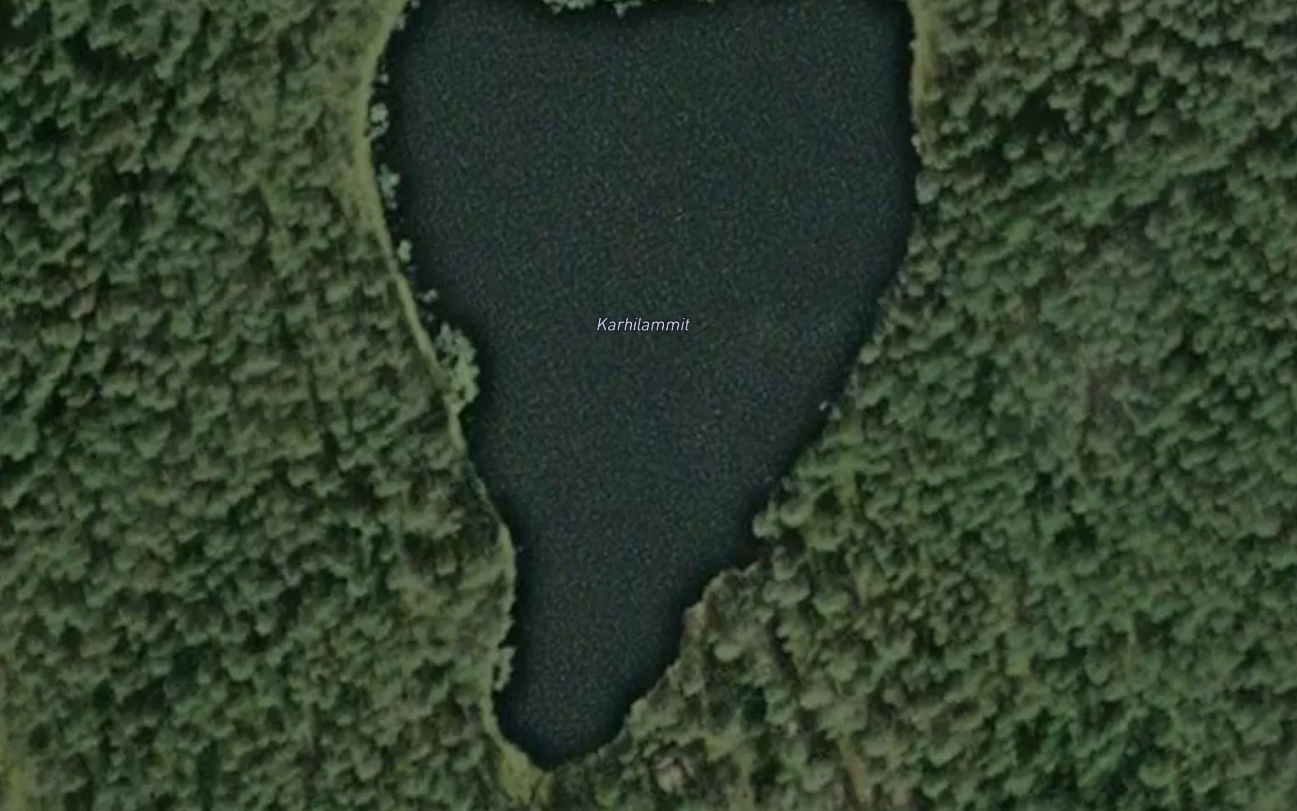 Karhilammit