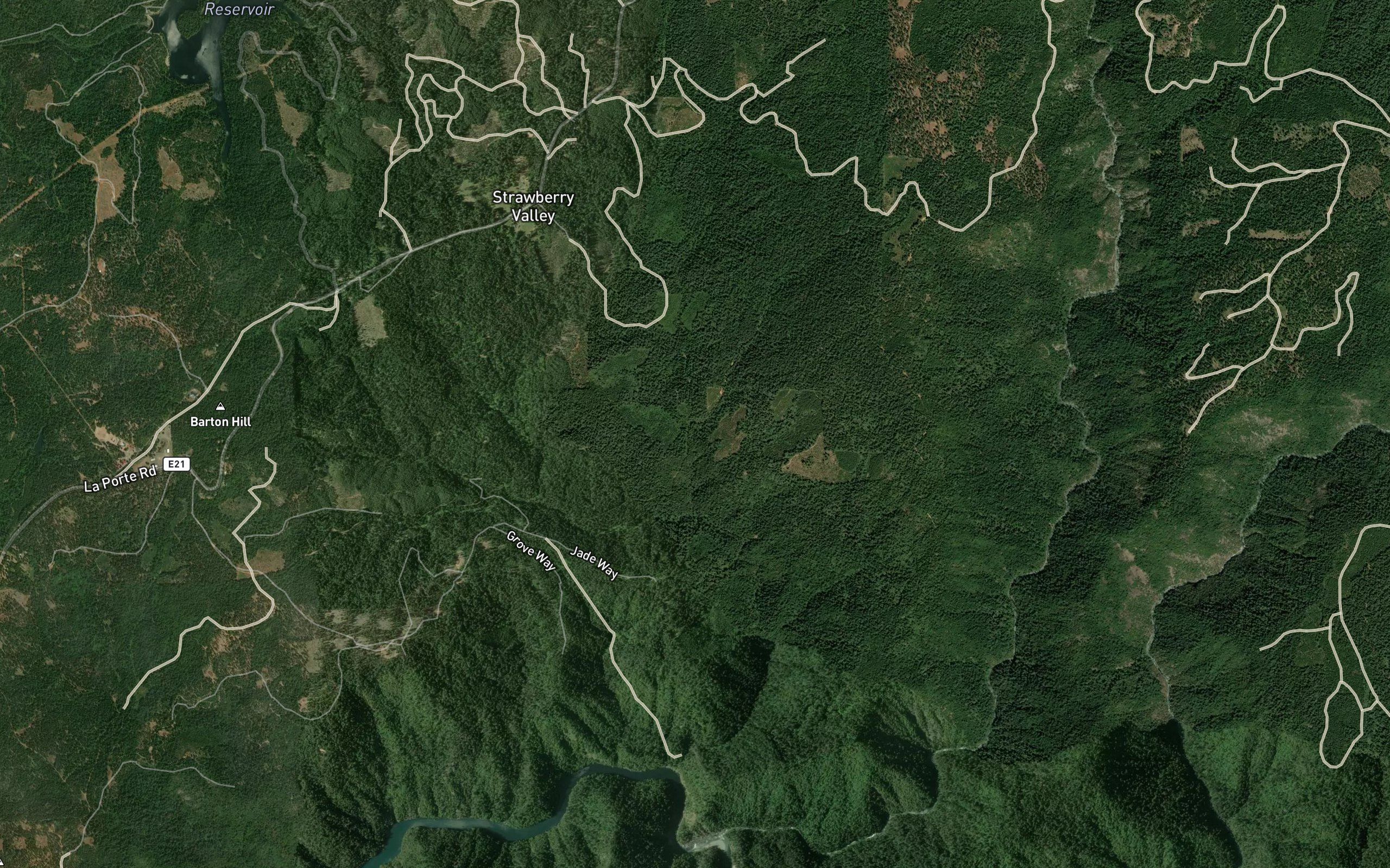 Mosquito Creek