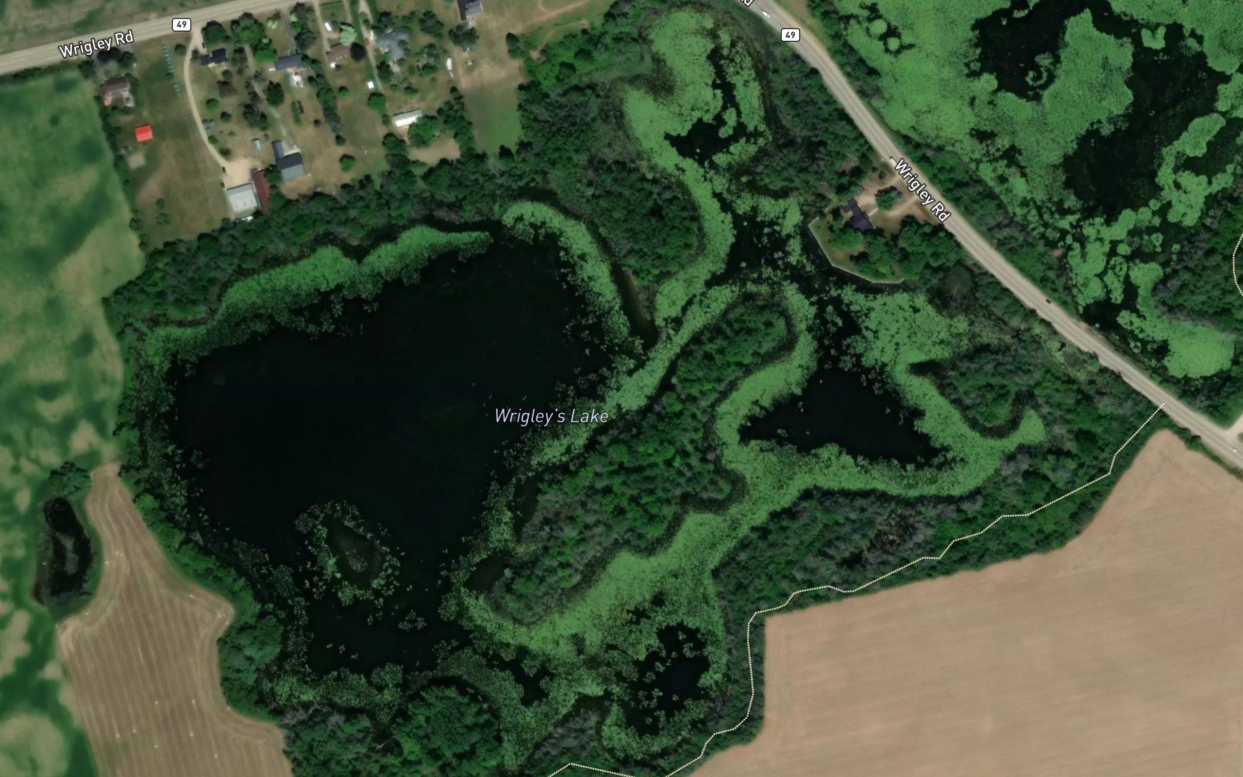 Wrigley's Lake