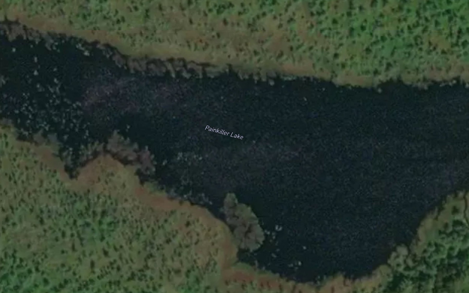 Satellite map of the Painkiller Lake