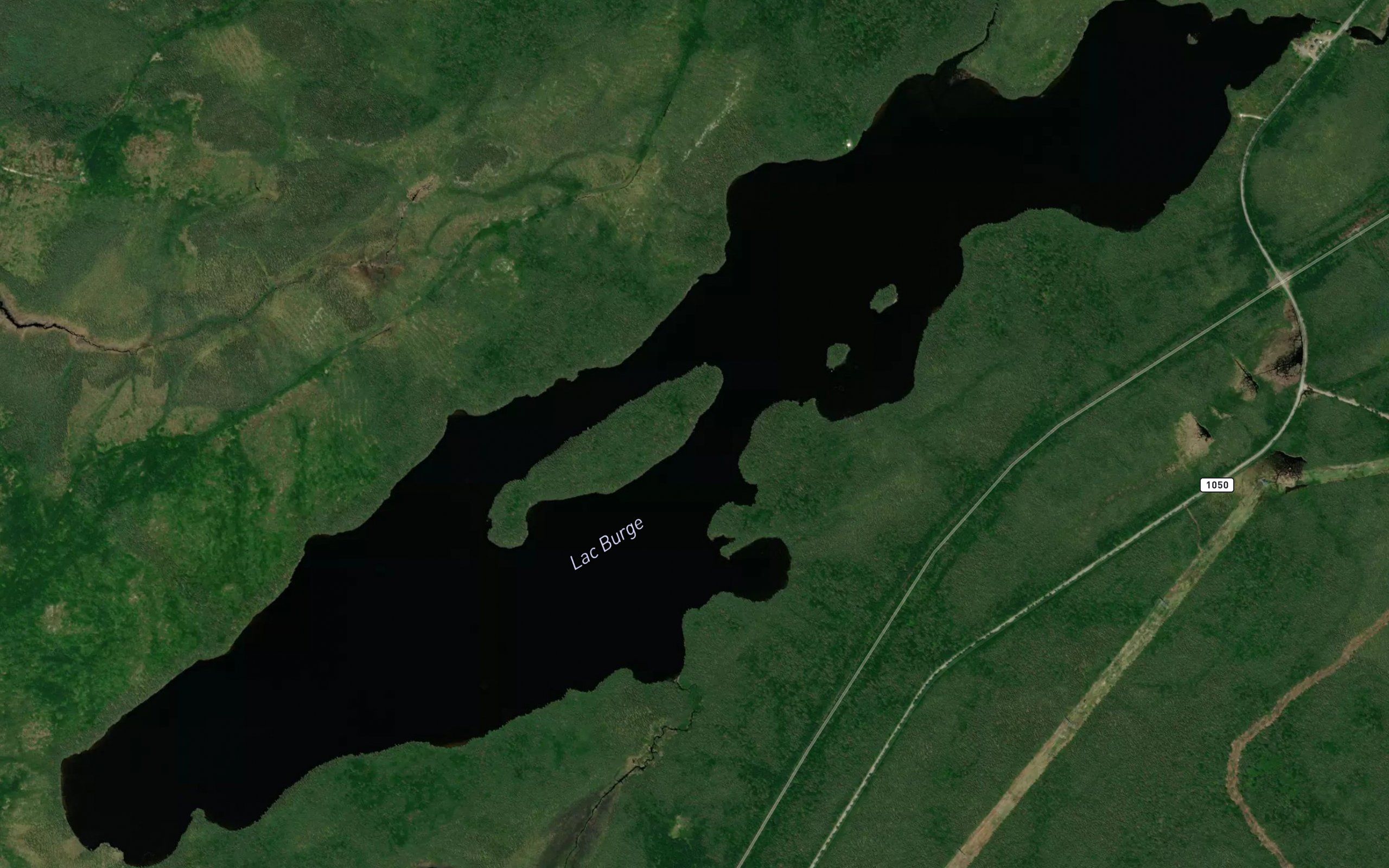 Lac Burge