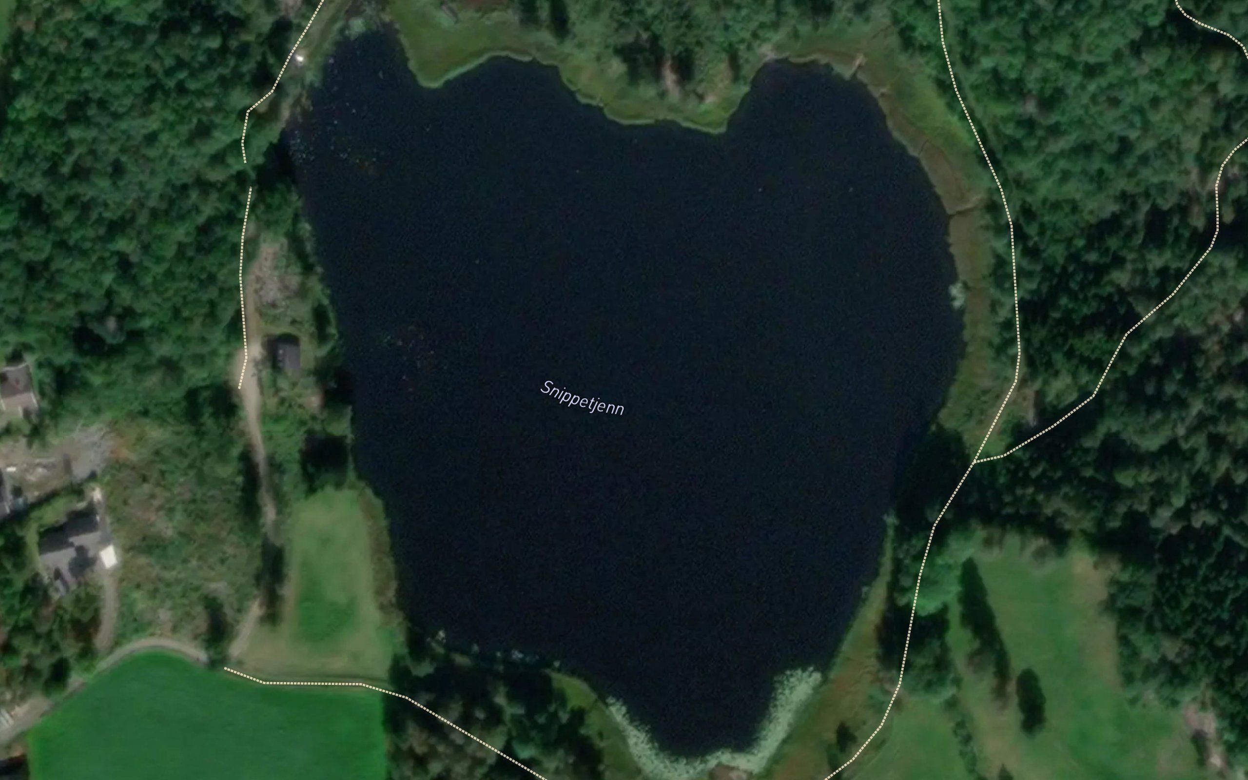Snipptjern