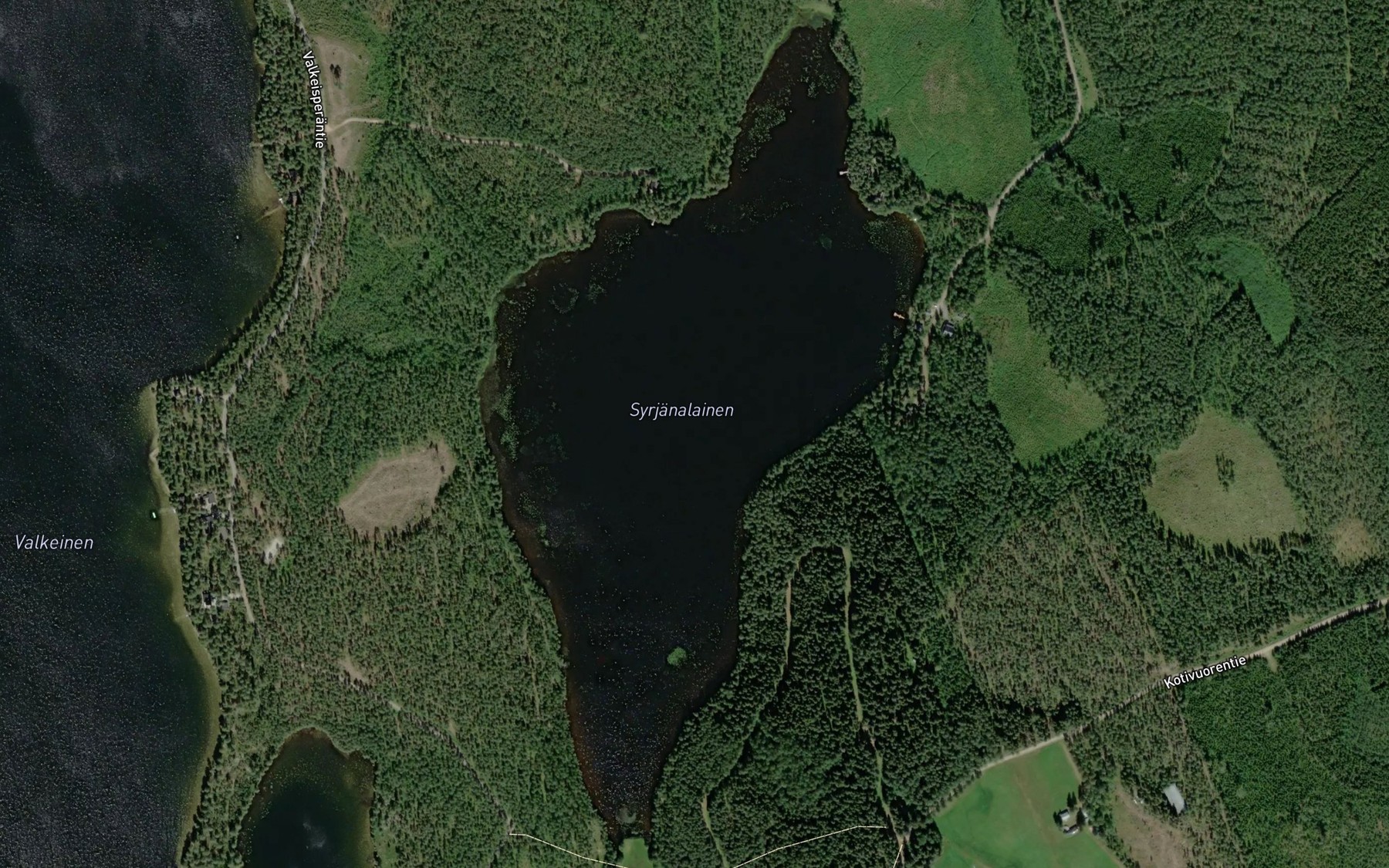 Satellite map of the Syrjanalanen
