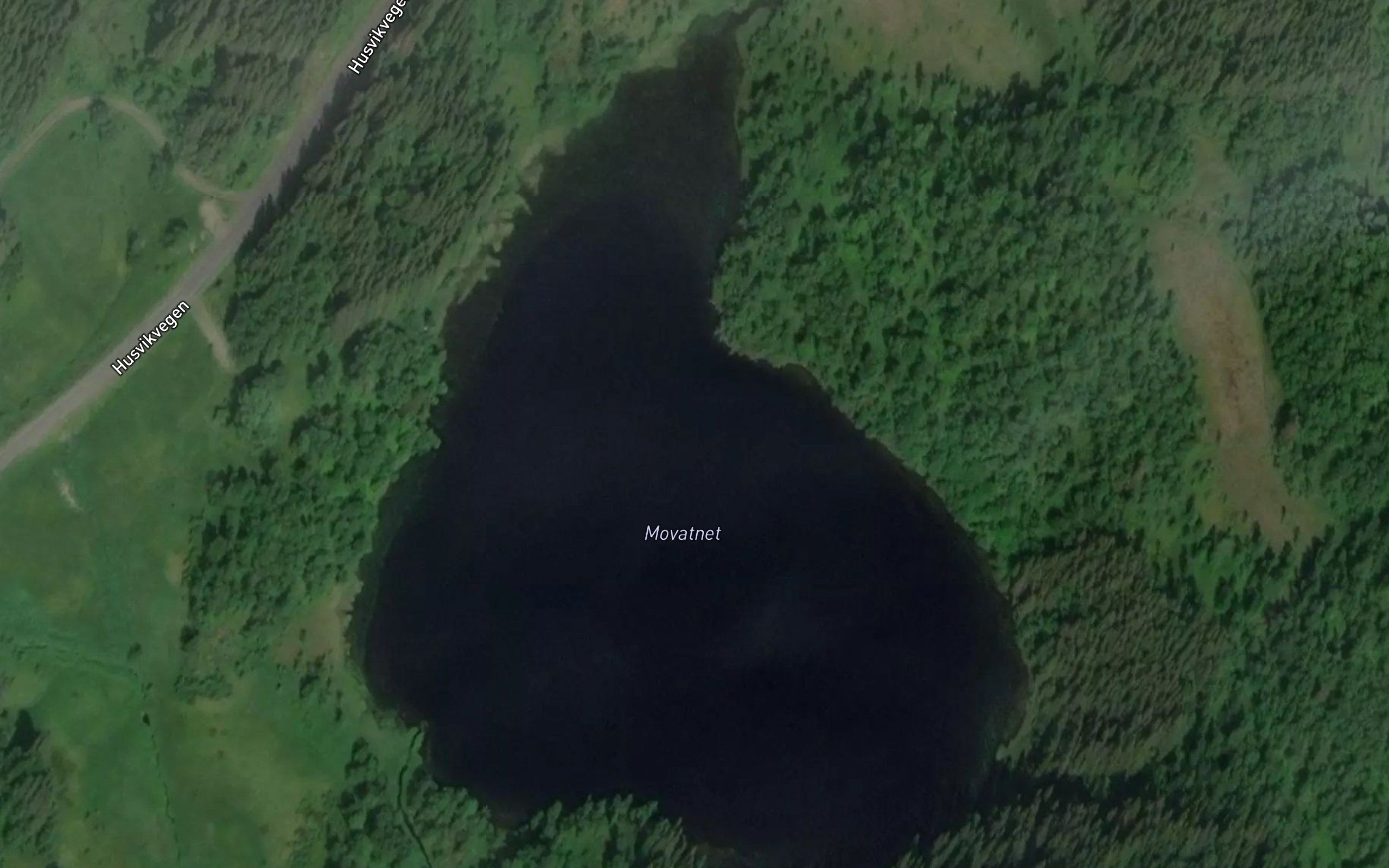 Movatnet