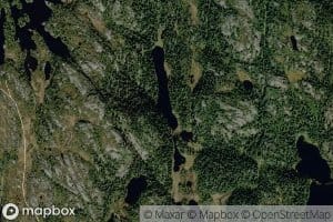 Mjagetjorn