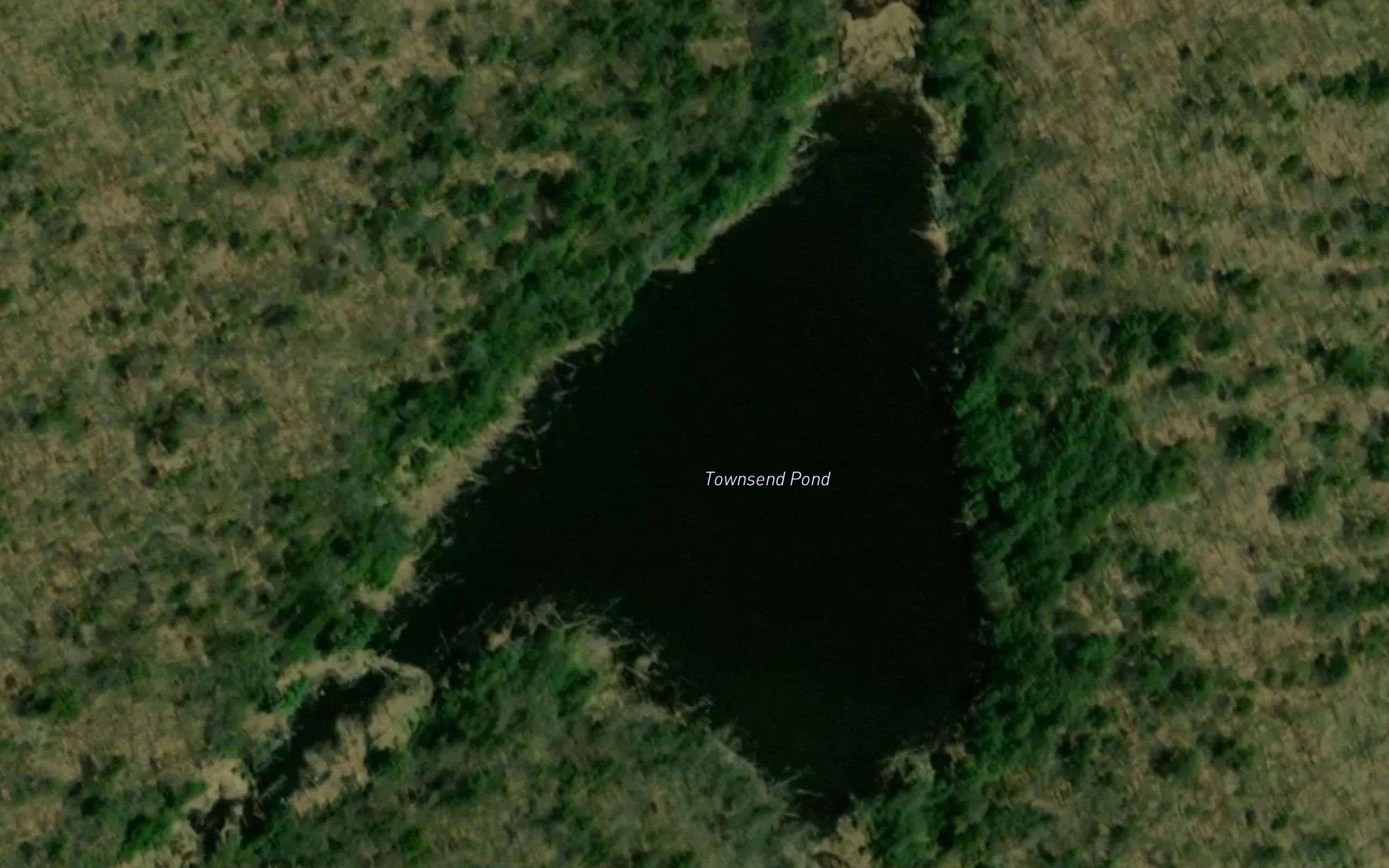 Townsend Pond