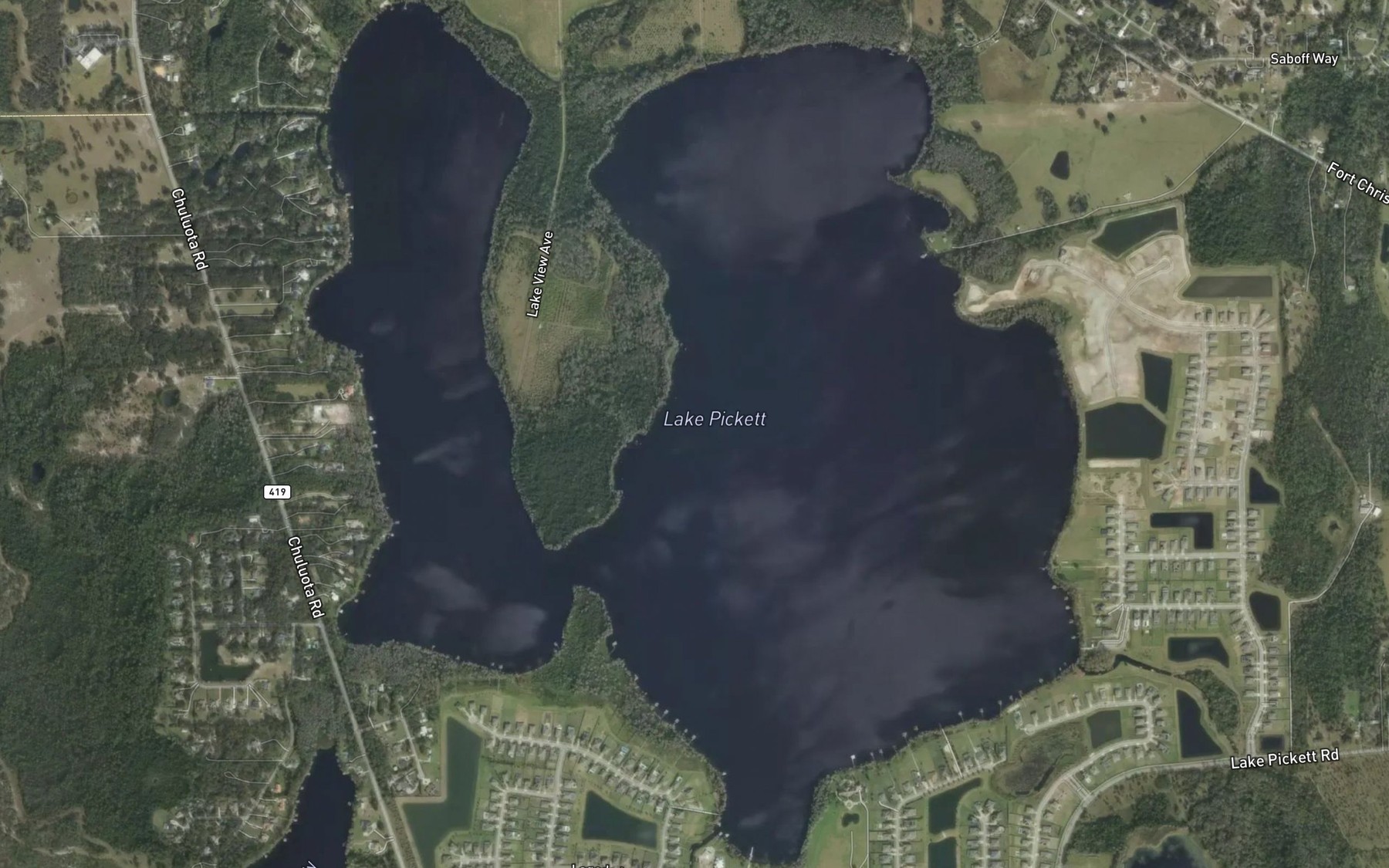 Satellite map of the Lake Pickett