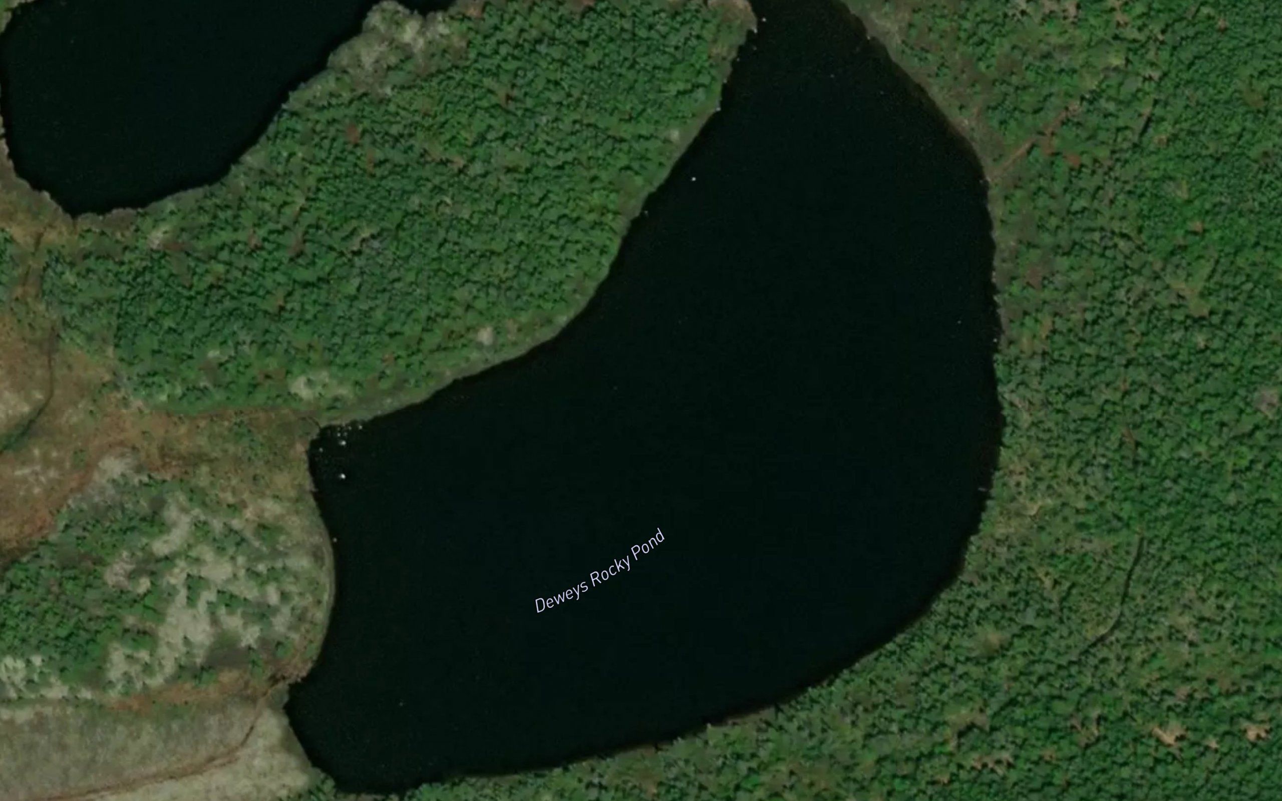 Deweys Rocky Pond
