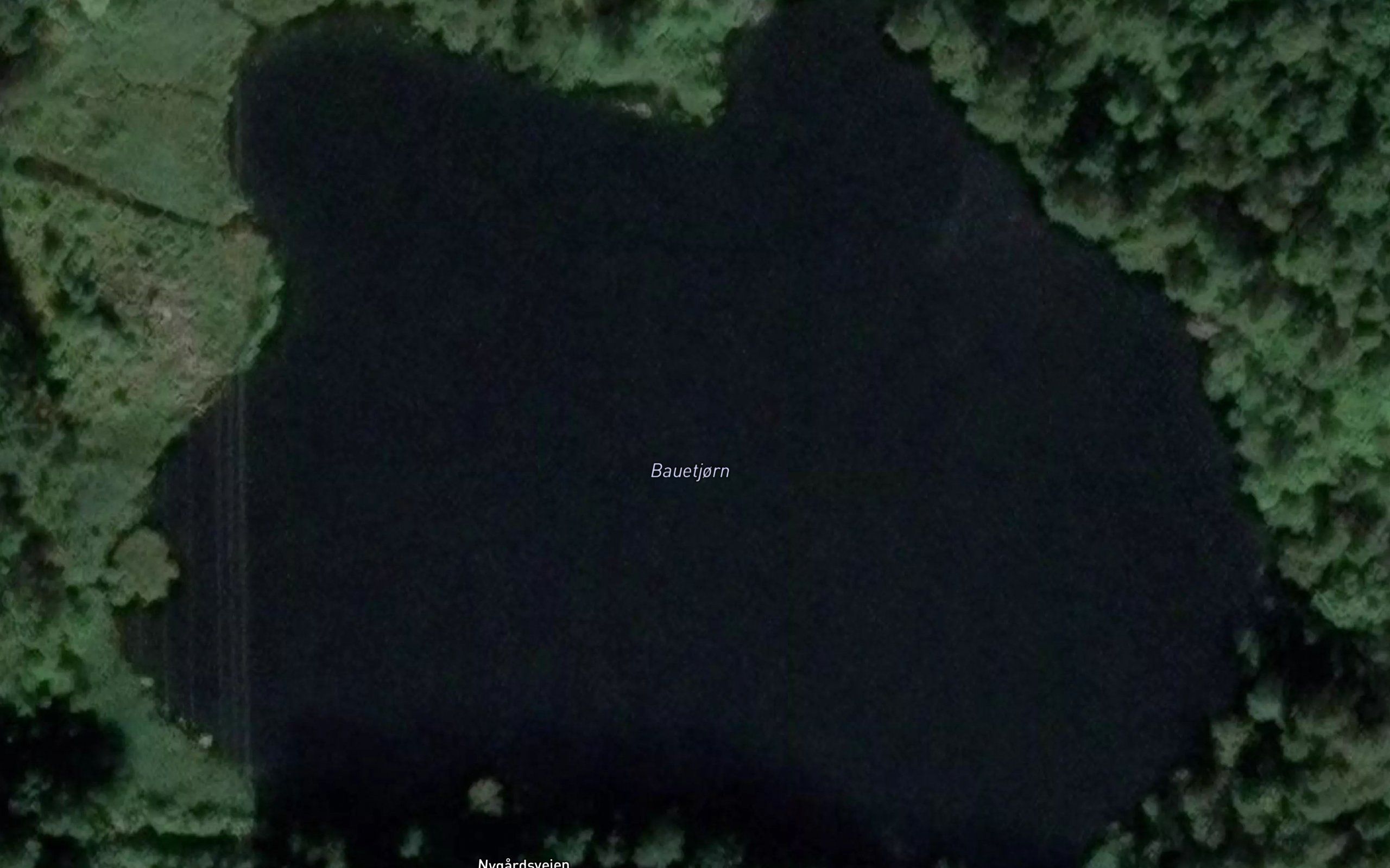 Bautjonn
