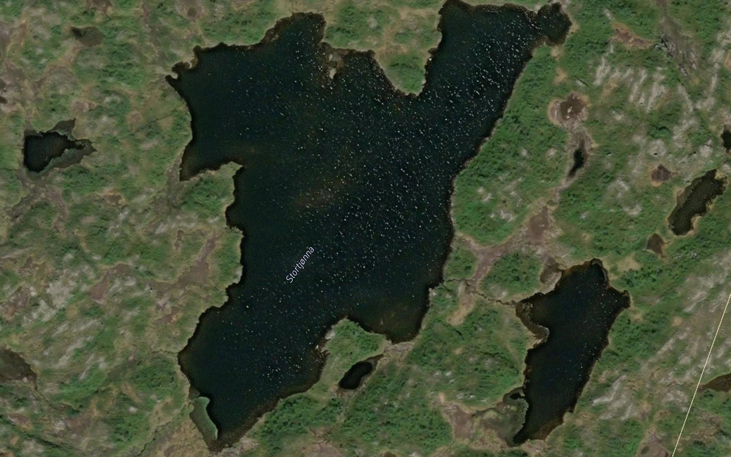 Stortjorna