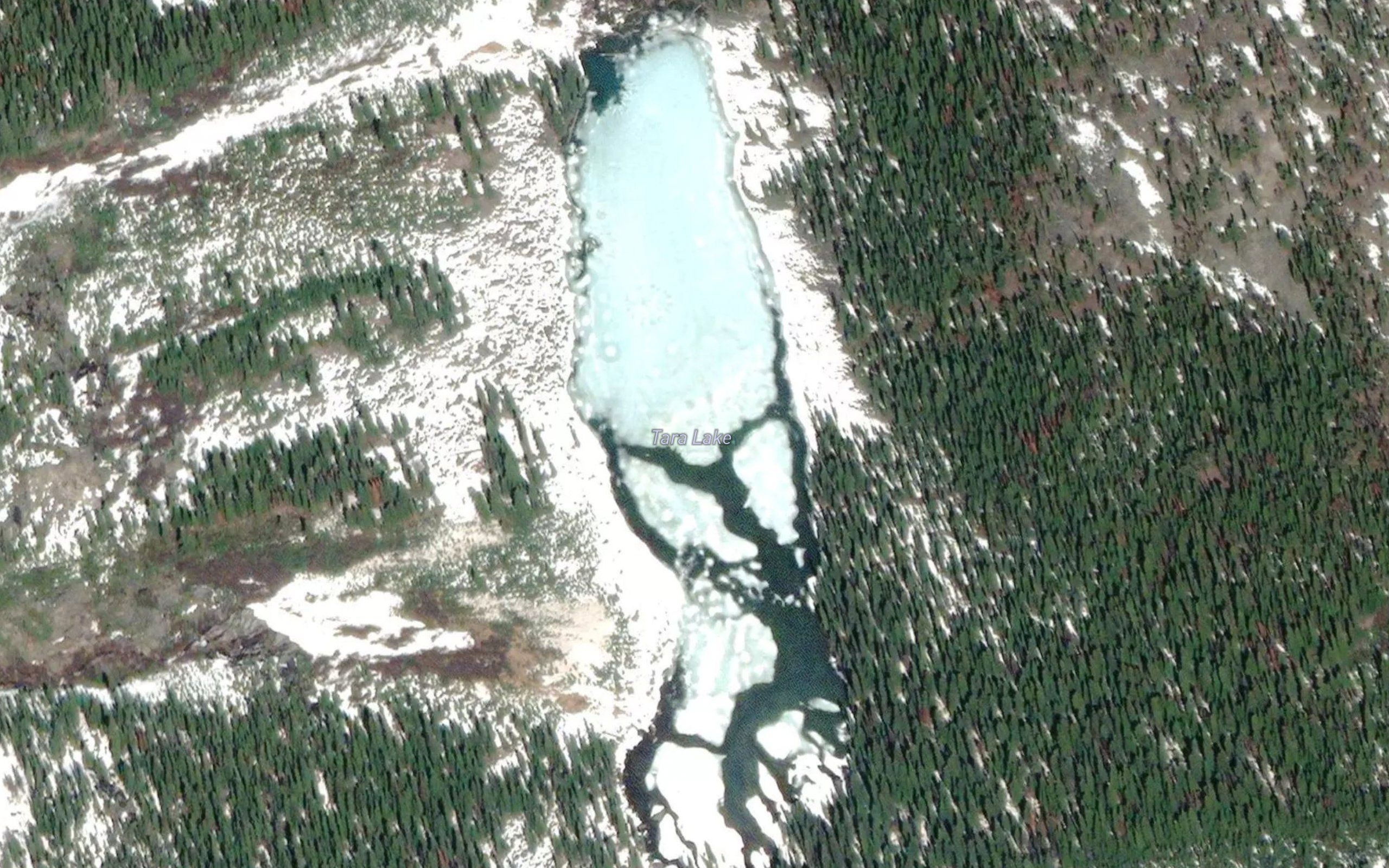 Tara Lake